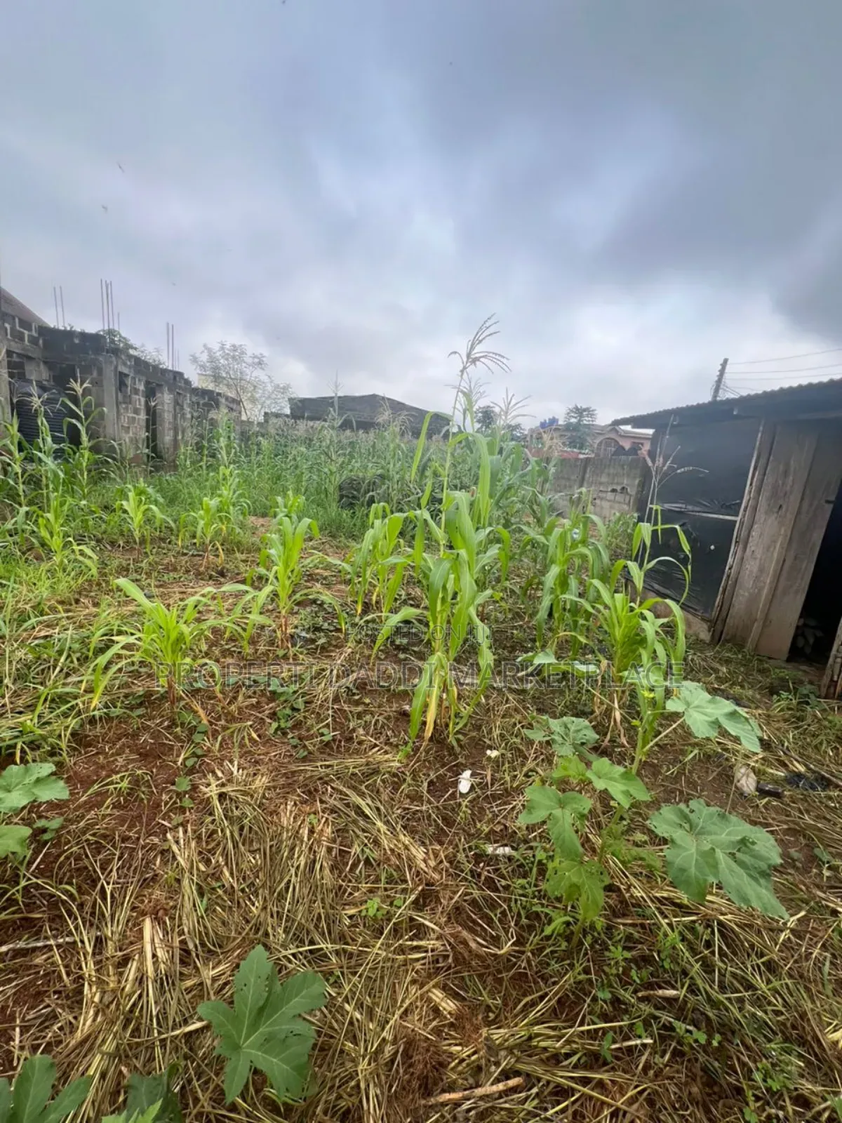 Half Plot of Land for Sale in Ipaja in Ipaja