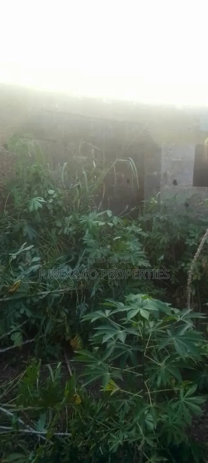 Plots of Land at Ipaja Lagos in Ipaja / Ipaja