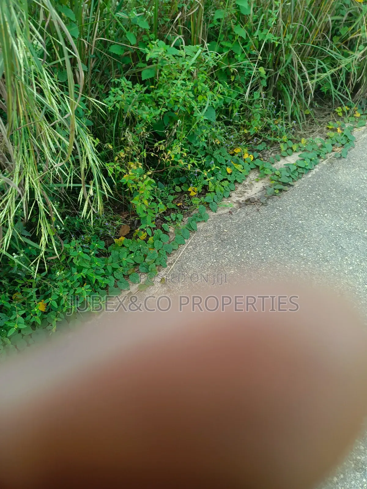 Plots of Land at Ipaja Lagos in Ipaja / Ipaja