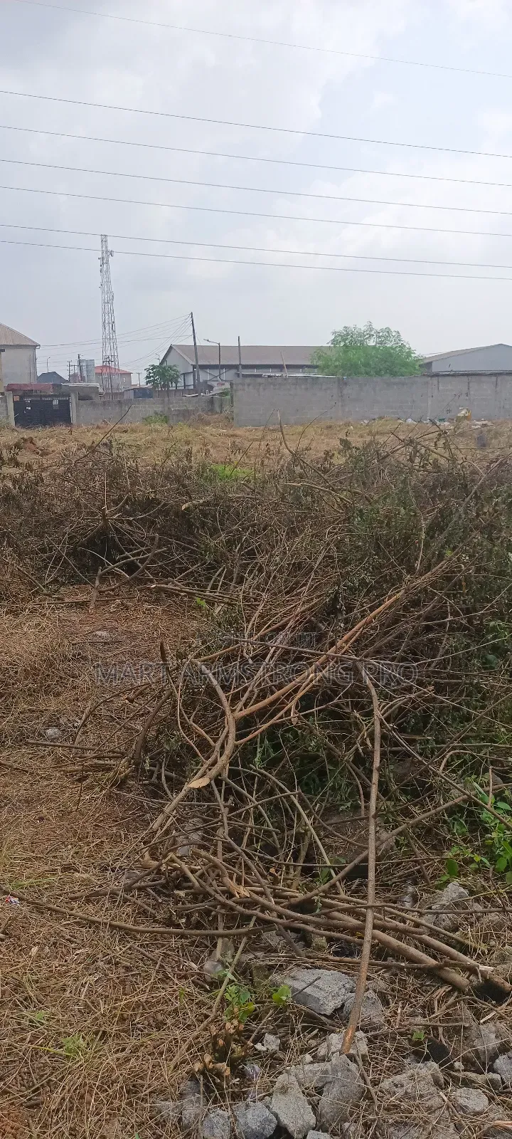 About 4acres of Land Closer to the Major Road in Ikorodu