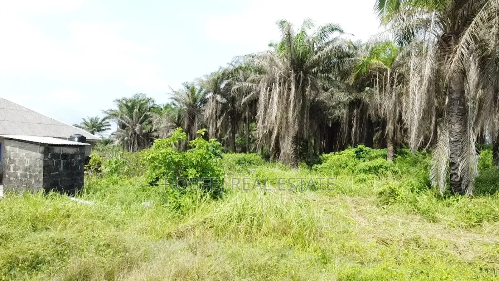 Village Excision+Ocean View in Eleko