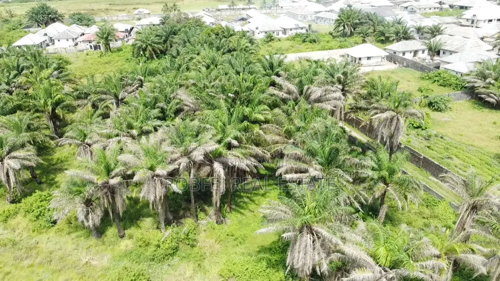 Village Excision+Ocean View in Eleko