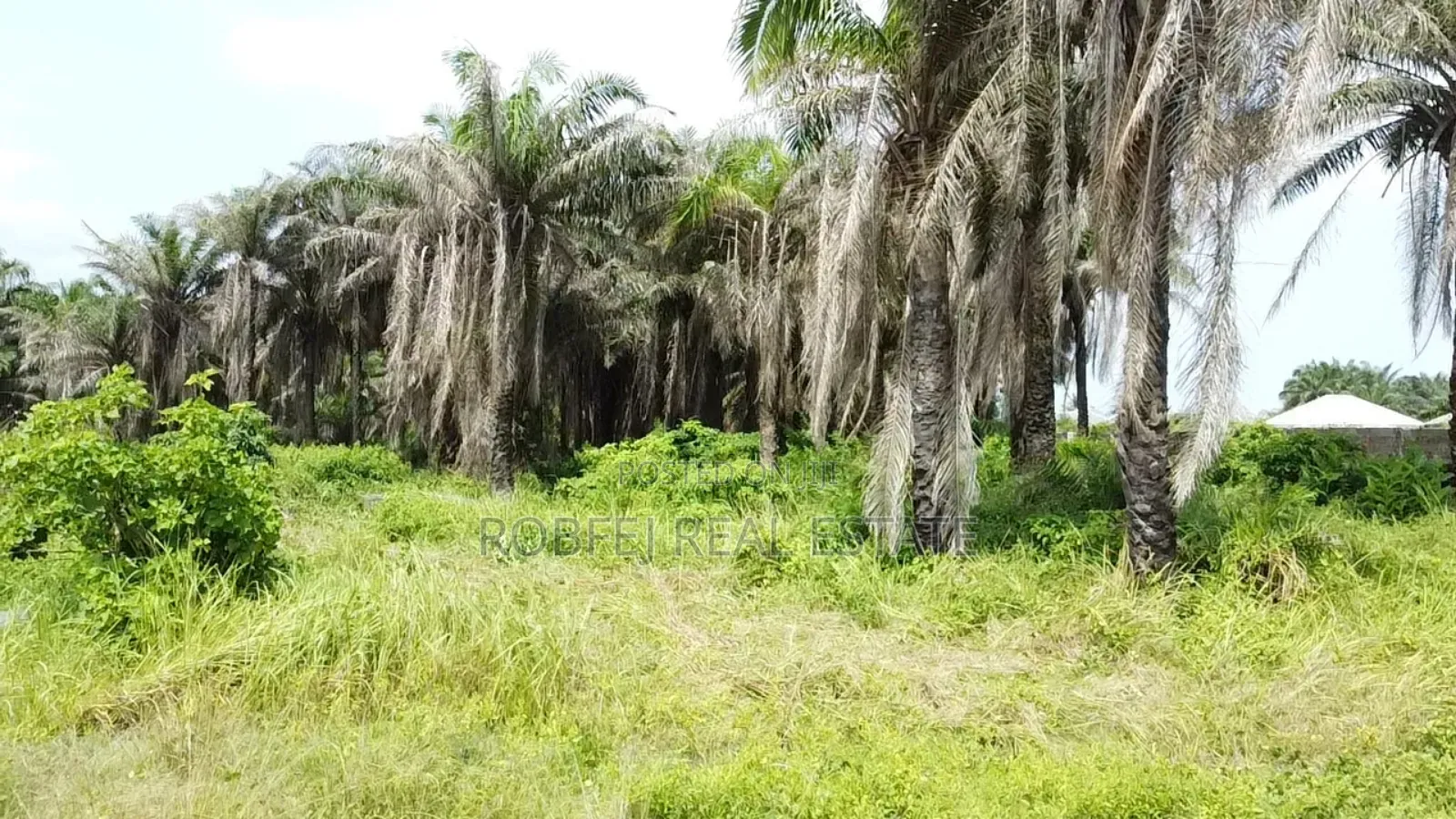 Village Excision+Ocean View in Eleko