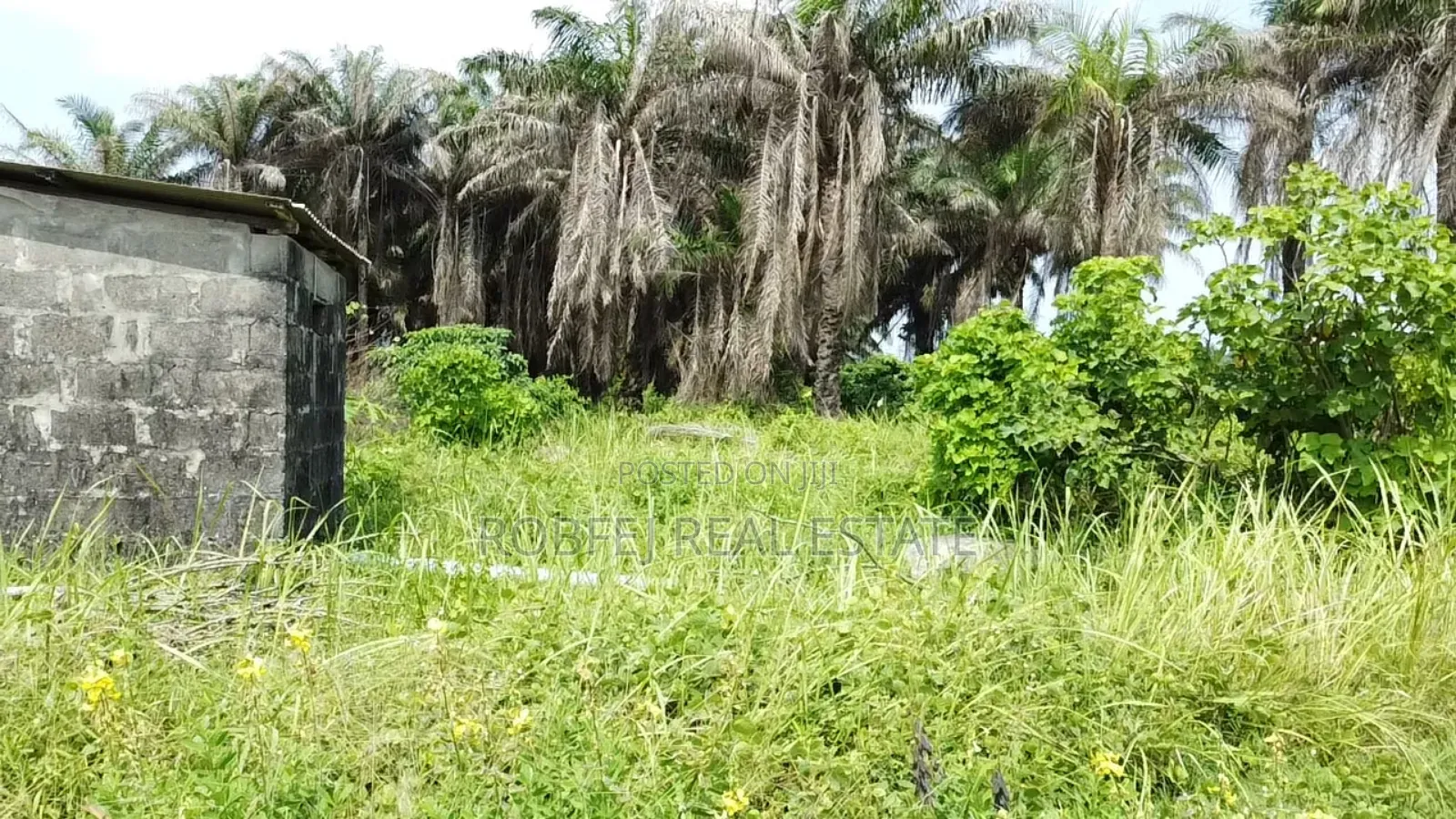 Village Excision+Ocean View in Eleko