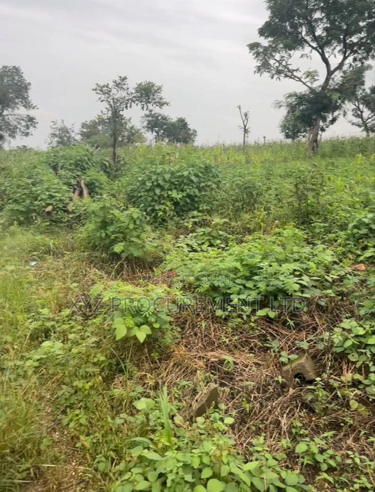 1 Hectare Industrial Plot by Tarred Road Idu (C of O) in Idu Industrial