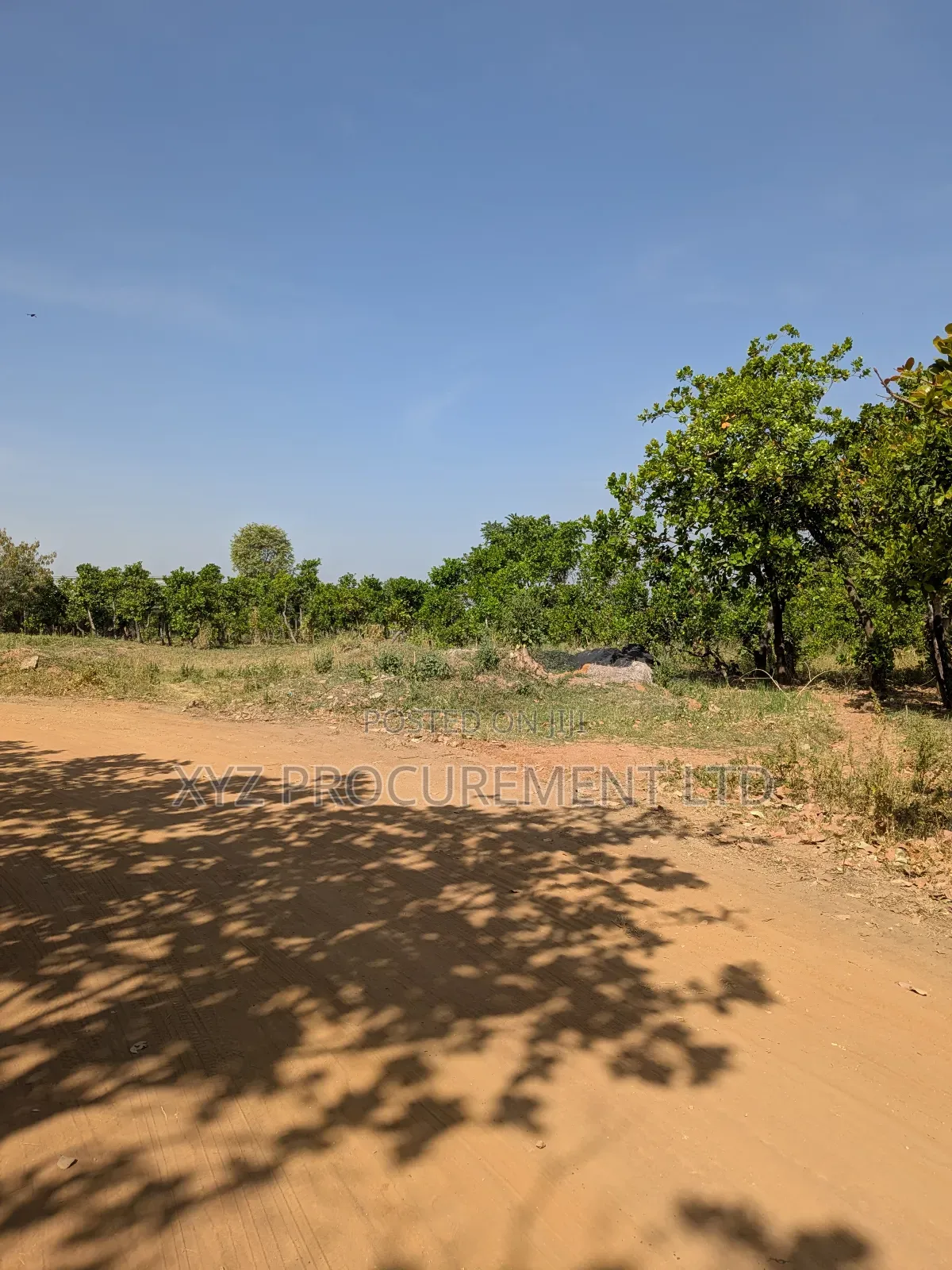 1 Hectare Flat Well Situated Land at Idu Industrial in Idu Industrial