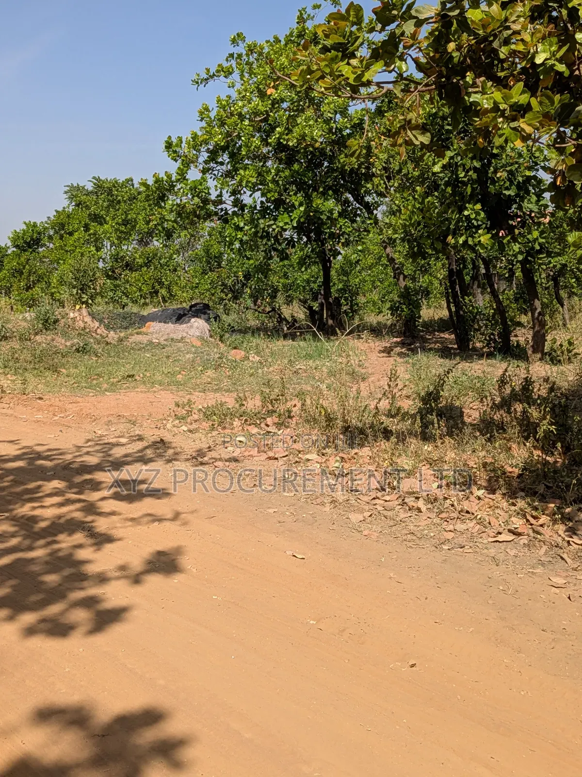 1 Hectare Flat Well Situated Land at Idu Industrial in Idu Industrial