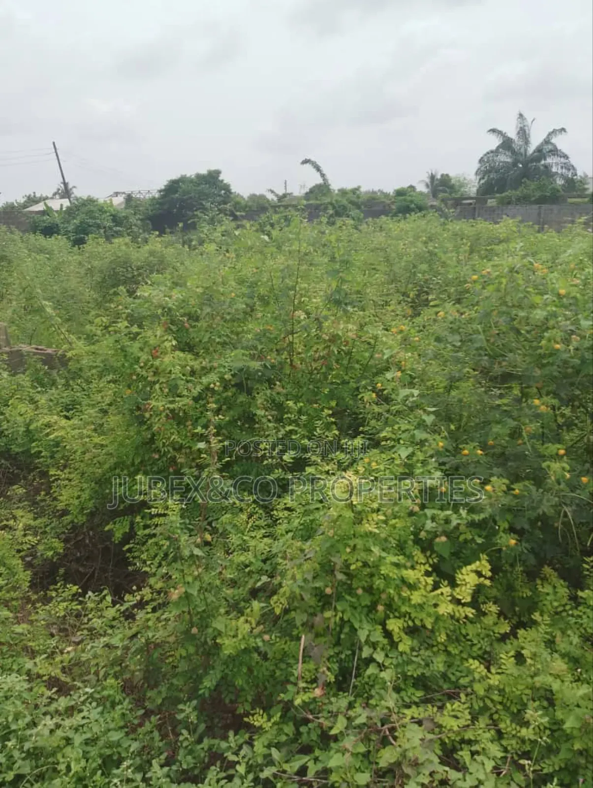 Land Facing Idiroko Road Express Way in Ado-Odo/Ota