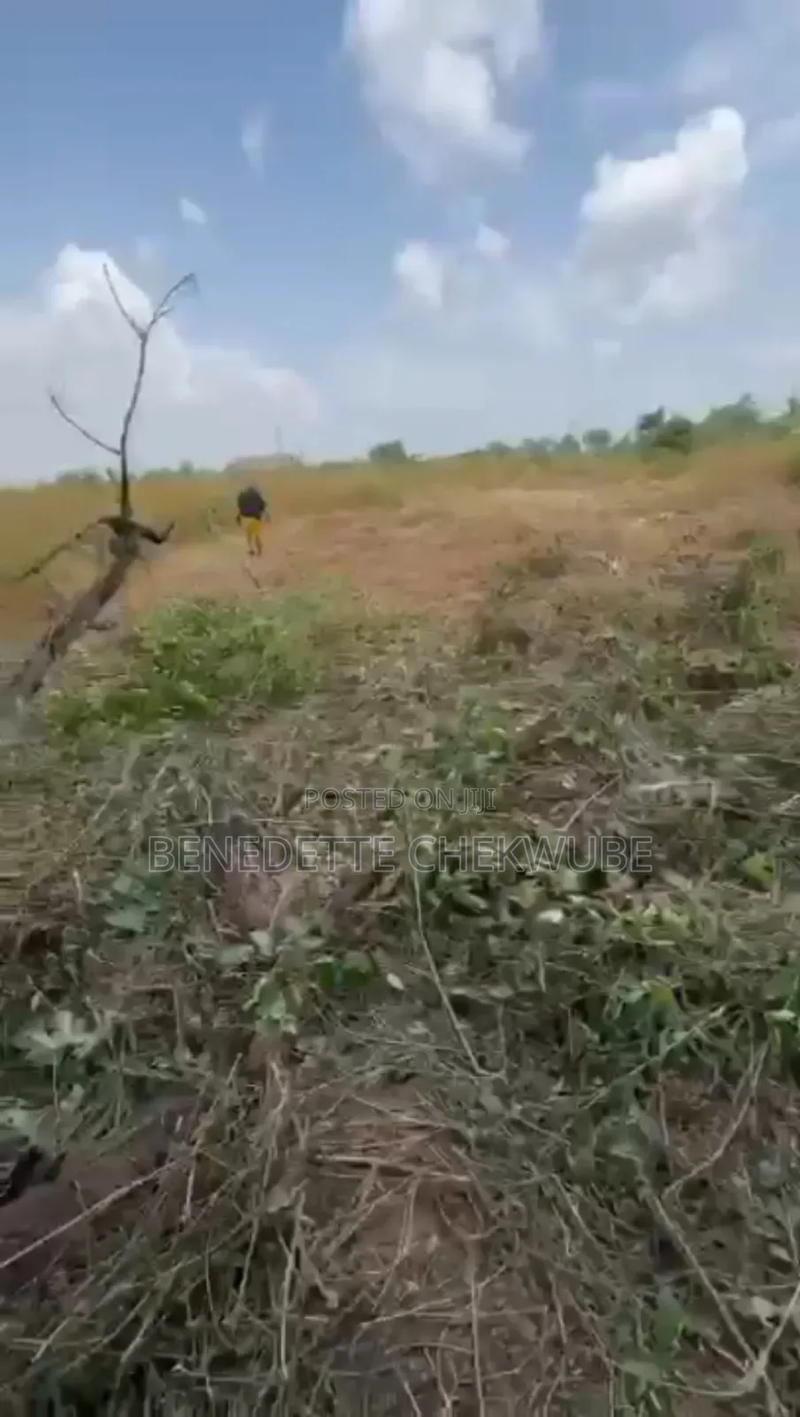 For Sale: One Plot of Land in Enugu