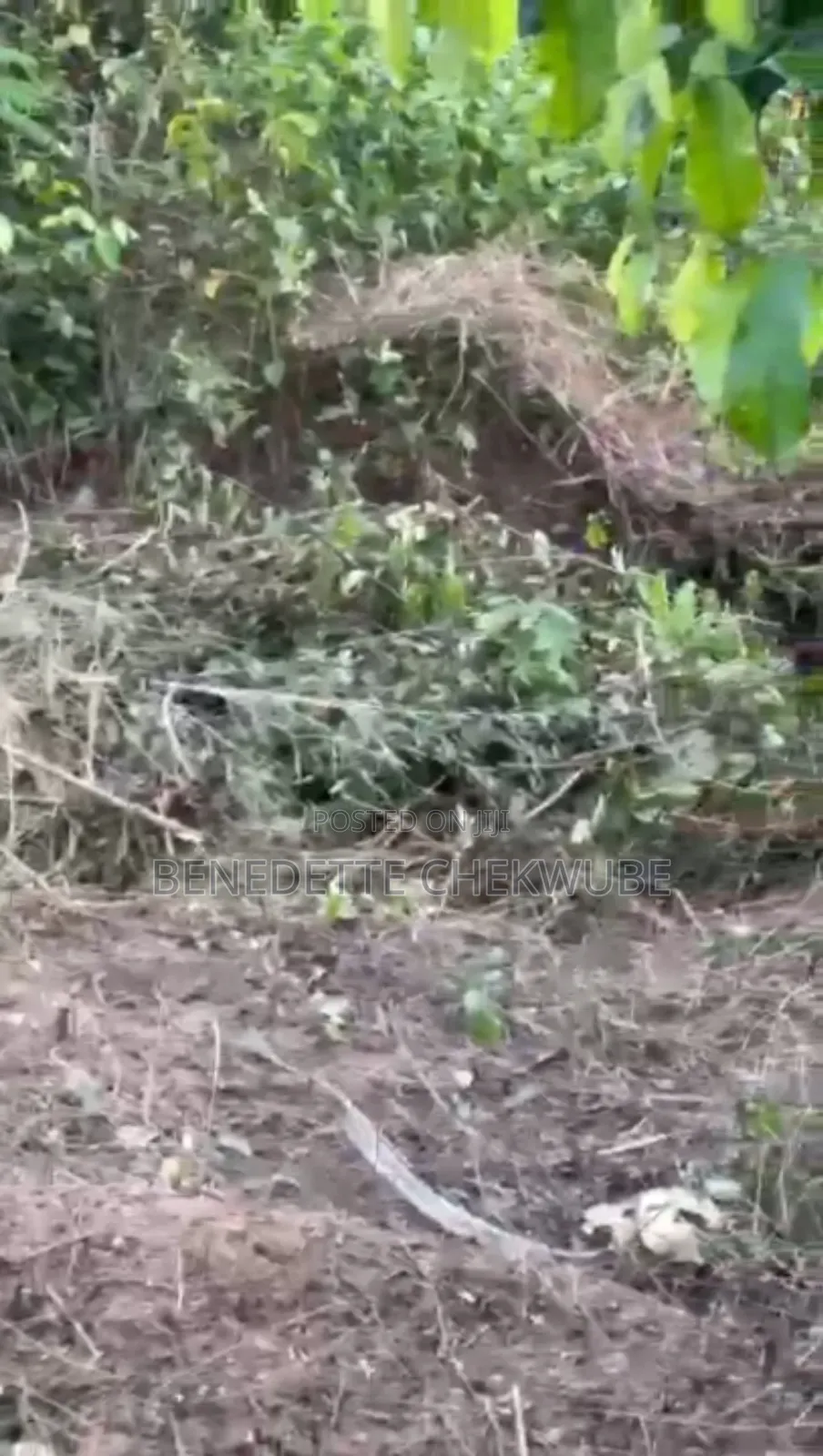 For Sale: One Plot of Land in Enugu