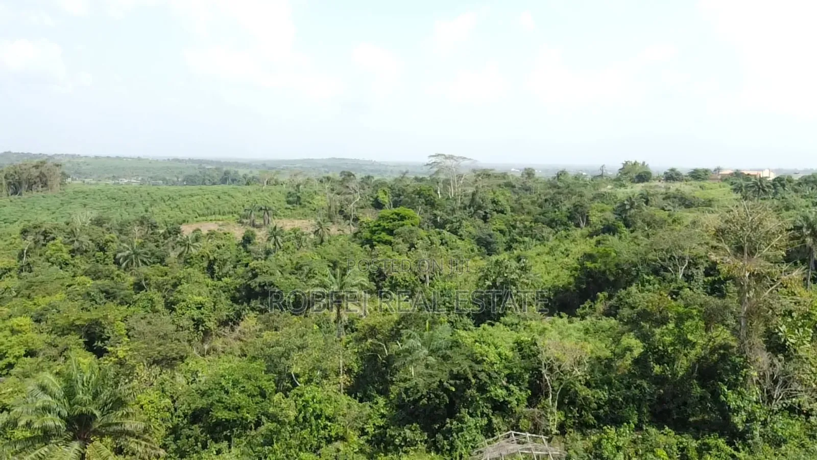 5 Acres Available Wetland for Quick Cheap Sales in Epe