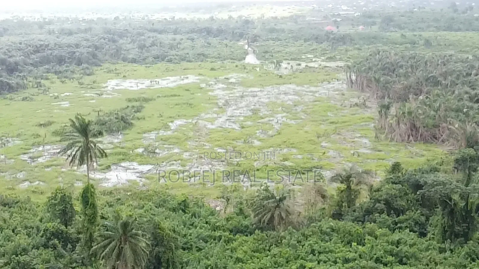 5 Acres Available Wetland for Quick Cheap Sales in Epe