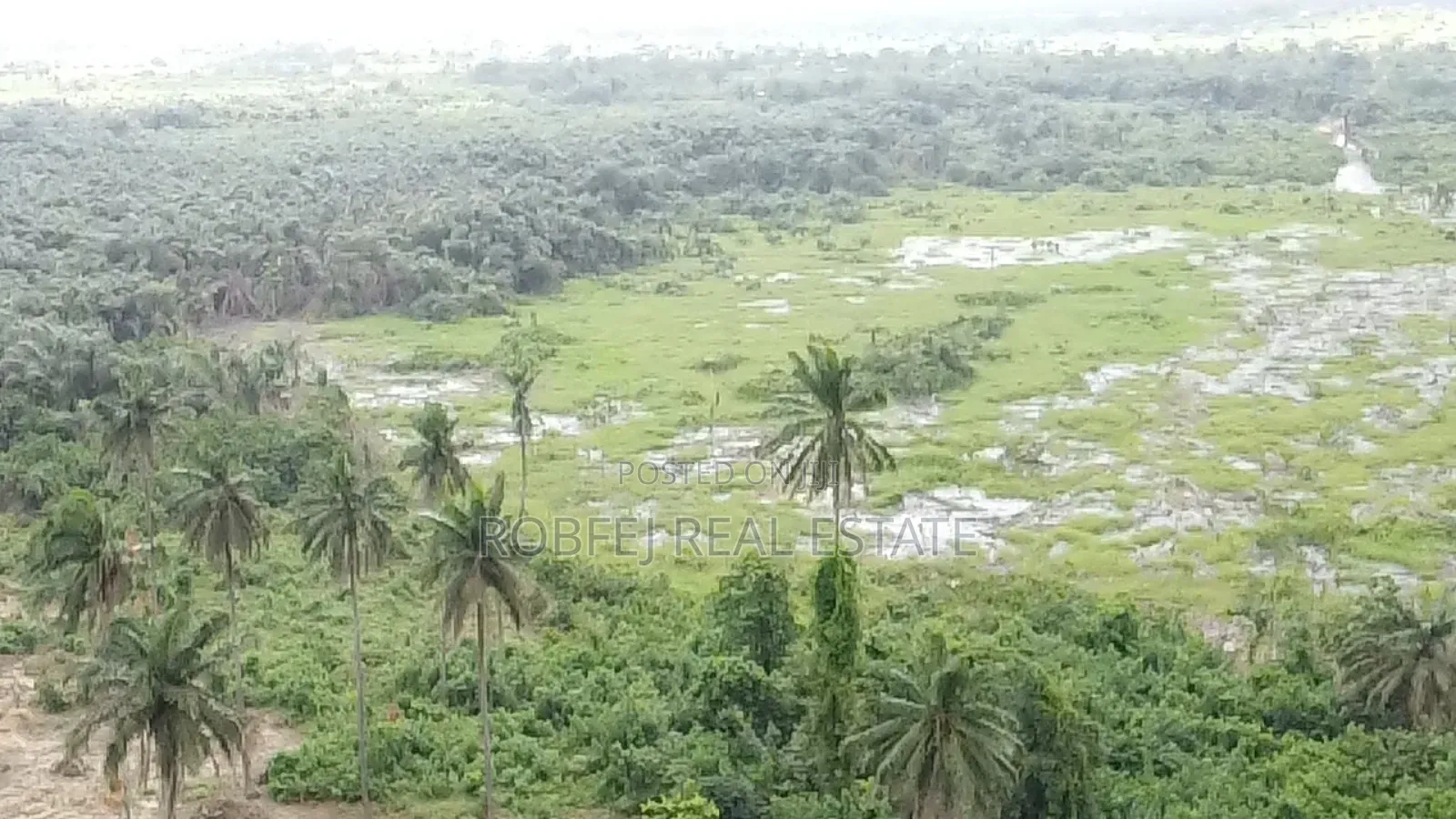 5 Acres Available Wetland for Quick Cheap Sales in Epe