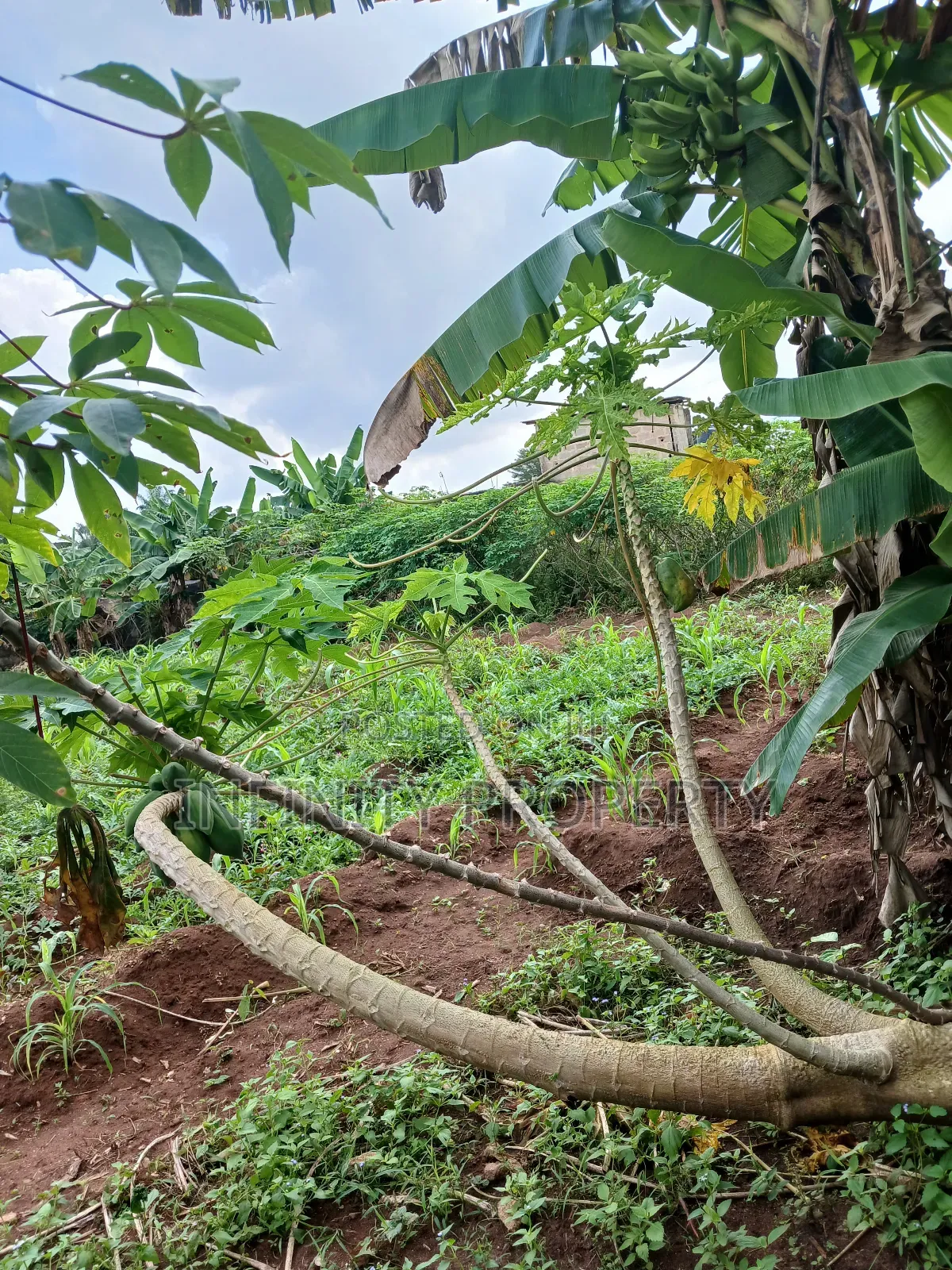 100/100 Land at Amagba Gra for Sale in Benin City