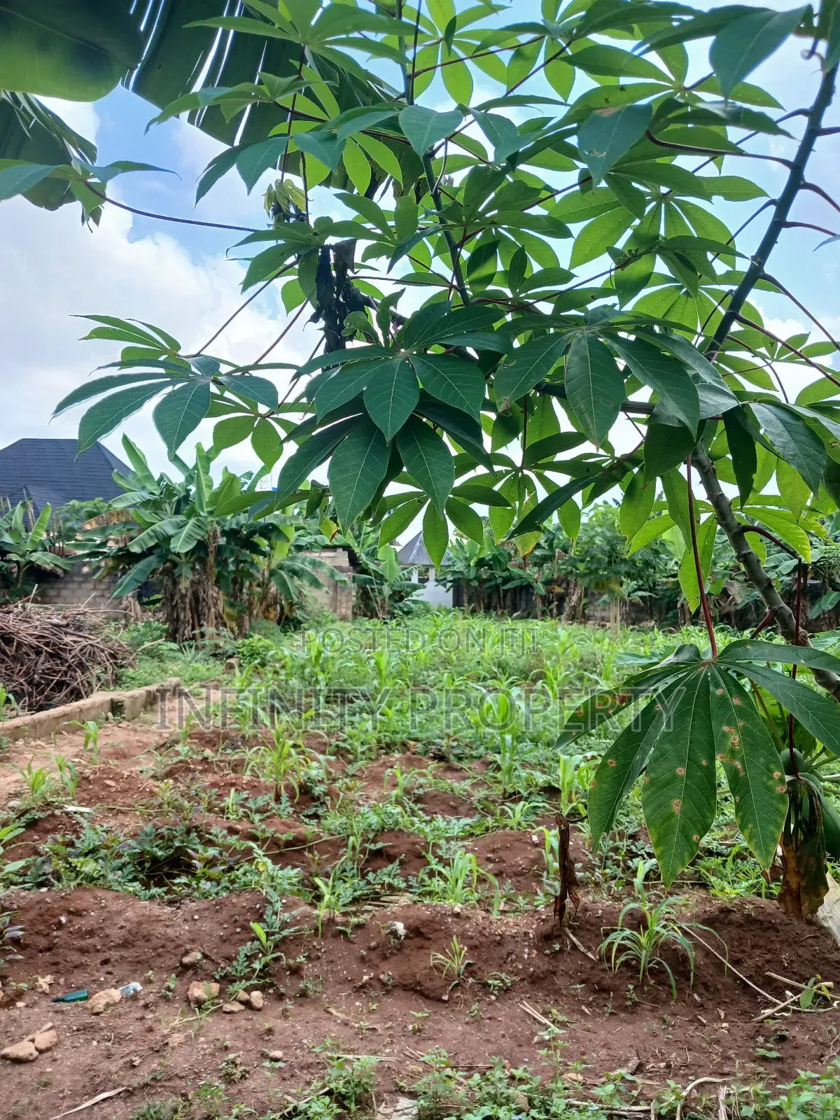 100/100 Land at Amagba Gra for Sale in Benin City