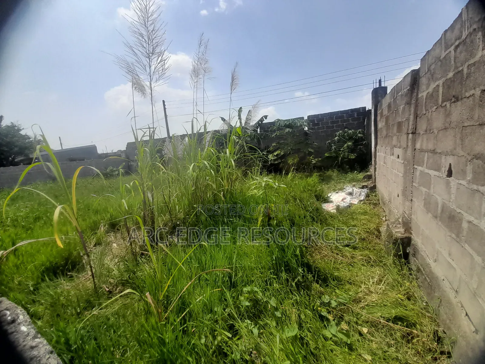Dry Bareland Measuring 40ft by 75ft in Startimes Estate in Ago Palace