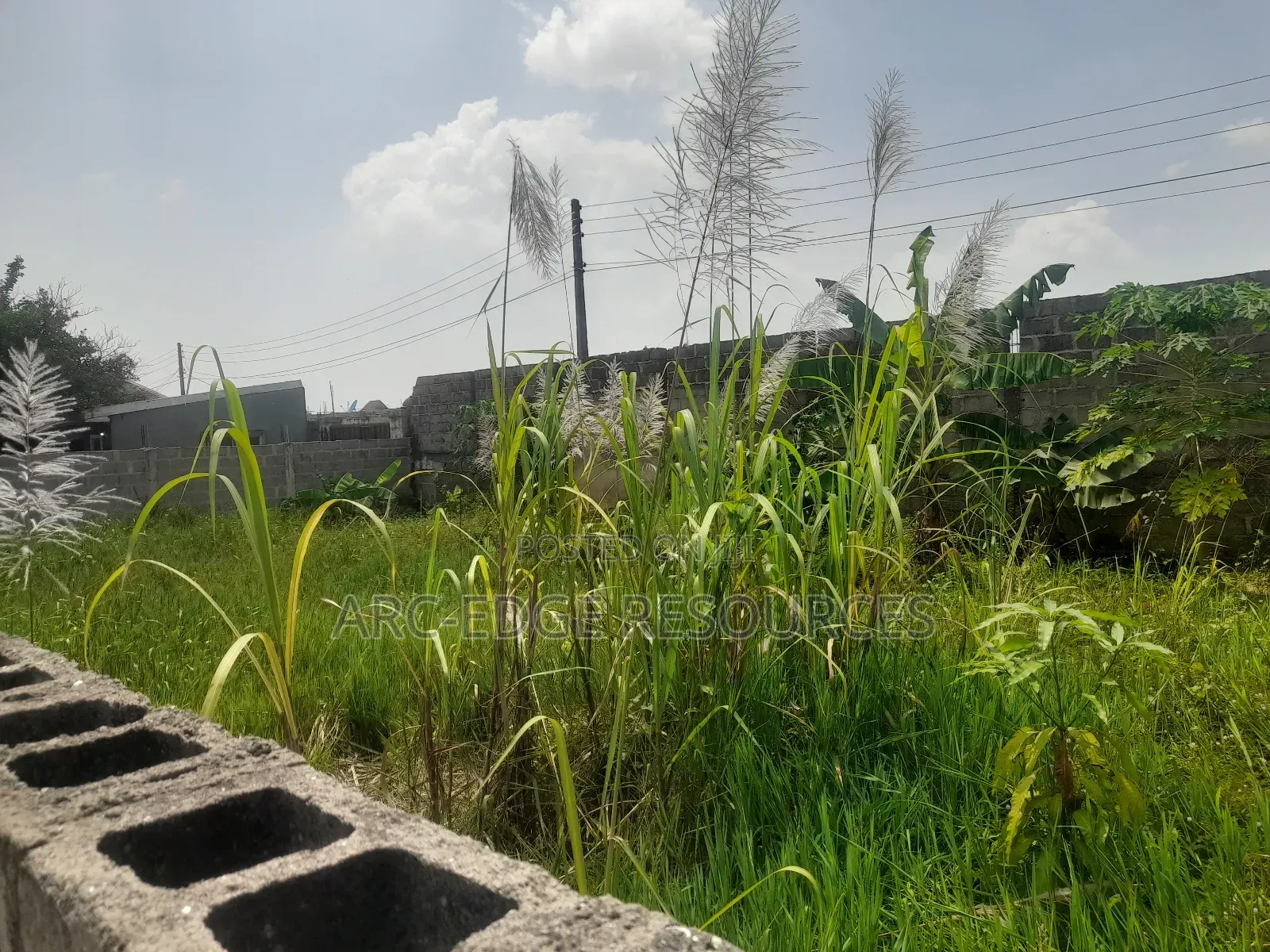 Dry Bareland Measuring 40ft by 75ft in Startimes Estate in Ago Palace