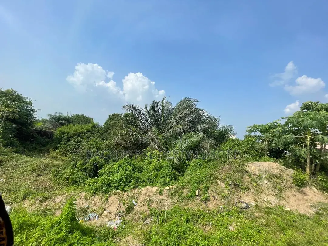 Full Plots of Land for Sale in Eleko
