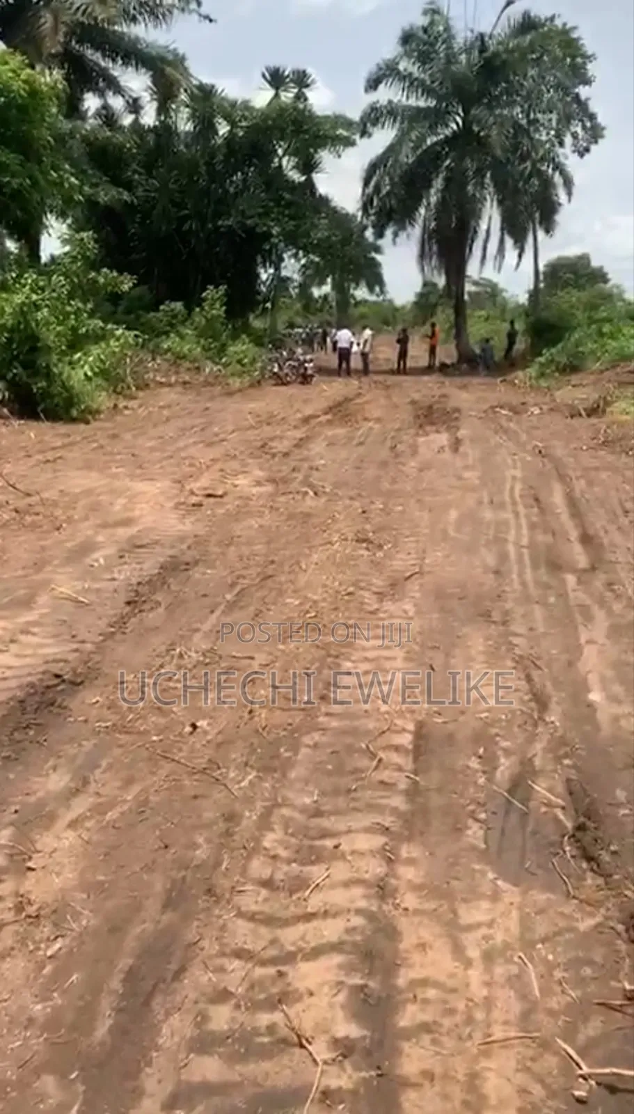 Affordable Land in Igwuruta-Ali Portharcourt in Port-Harcourt