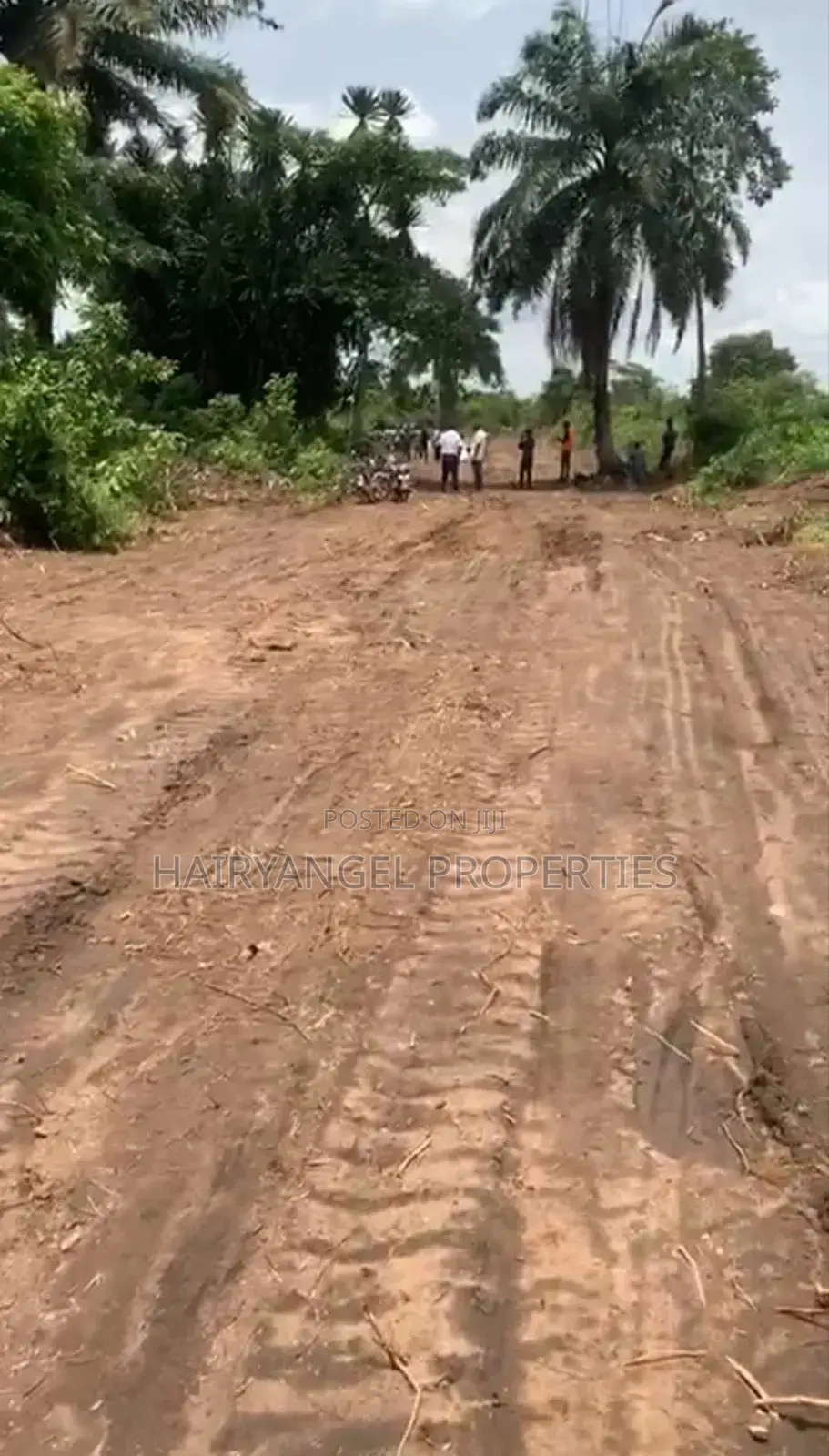 Affordable Land in Igwuruta-Ali Portharcourt in Port-Harcourt