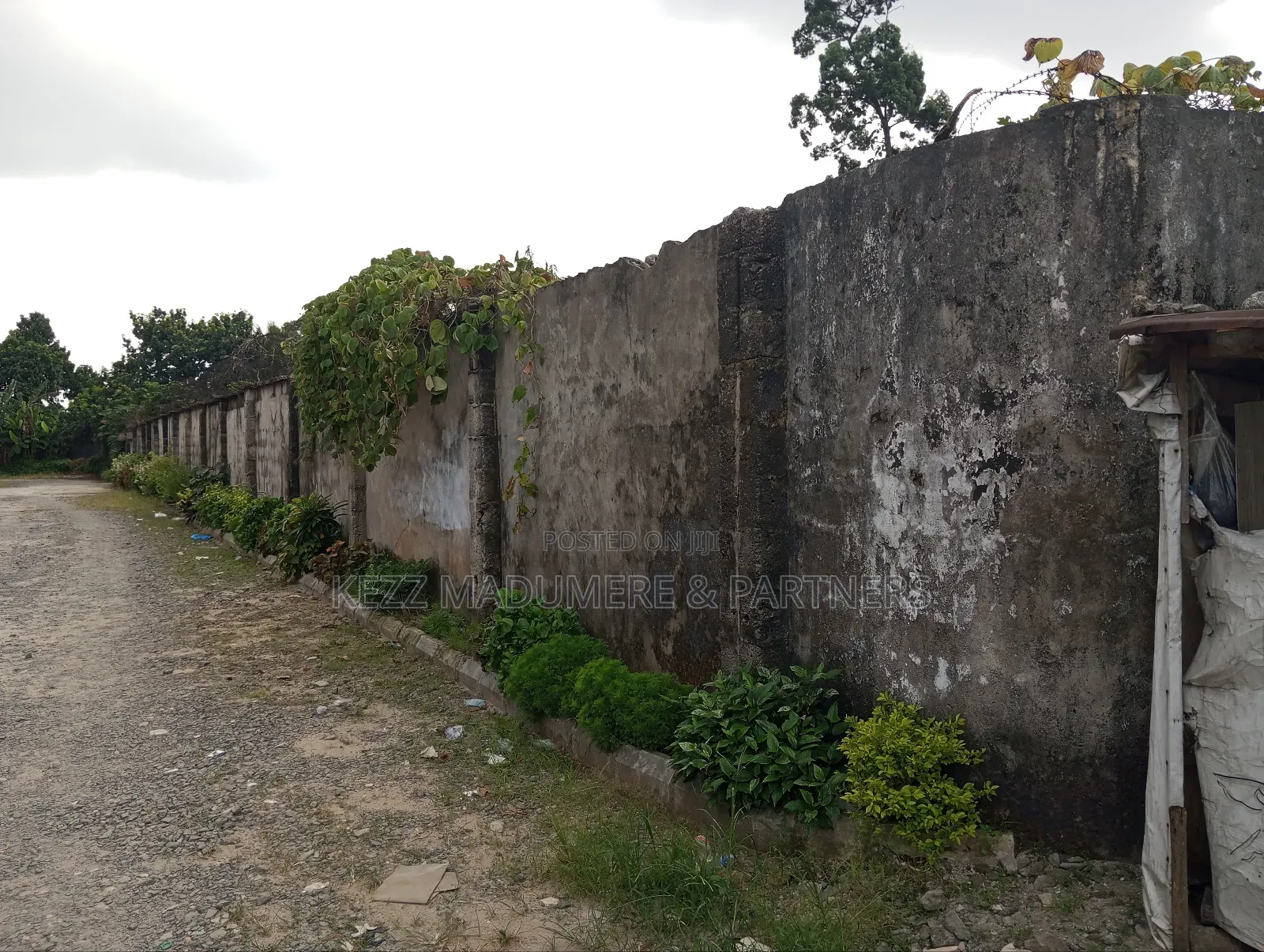 For Sale : 8 Plots at Ojiaji Ave, OFF Woji Rd , RUMUOGBA,PH in Port-Harcourt