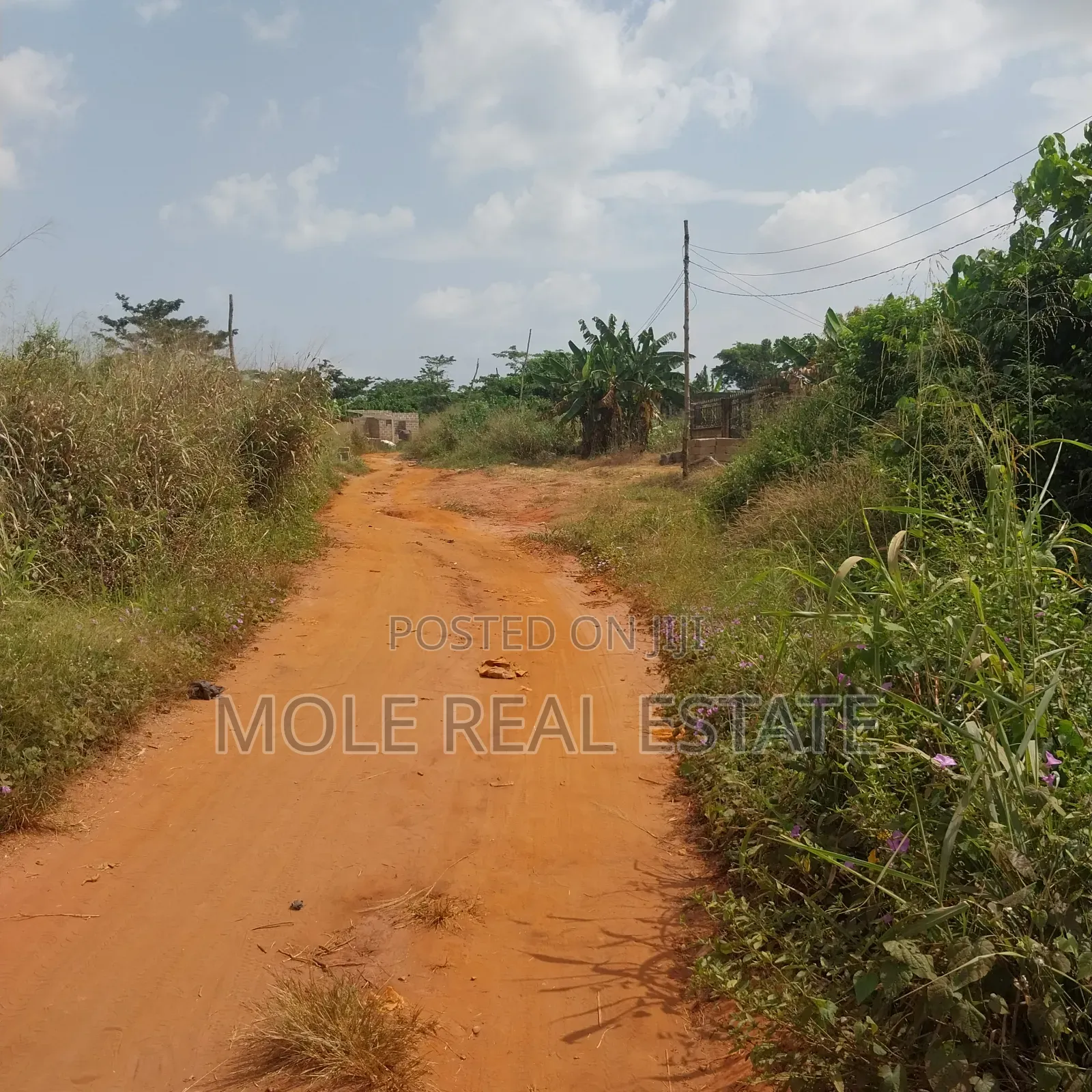 SIM Estate Mowe Ofada 50ft by 100ft in Ewekoro