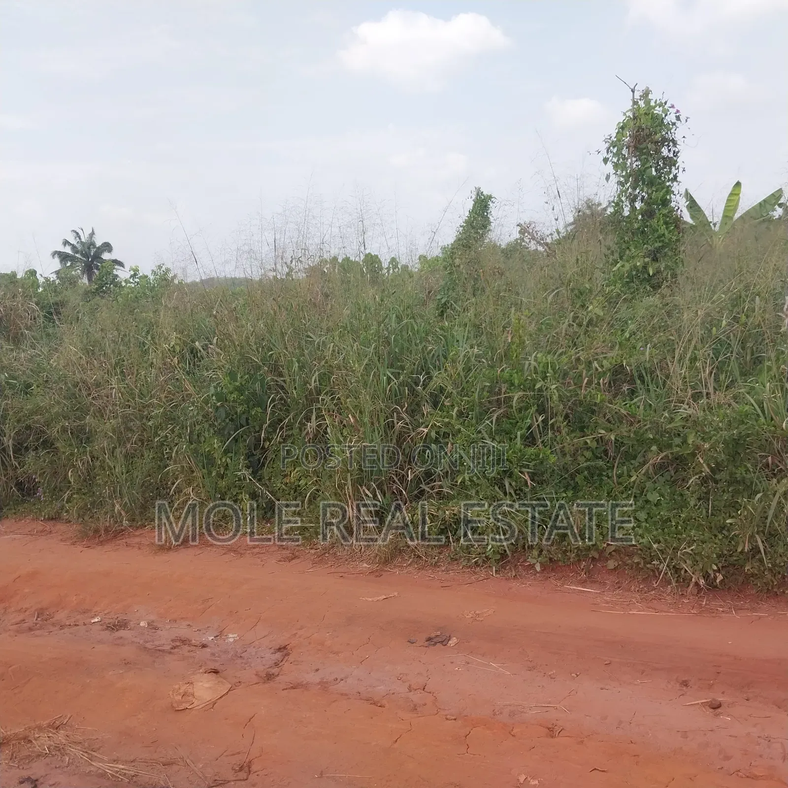 SIM Estate Mowe Ofada 50ft by 100ft in Ewekoro