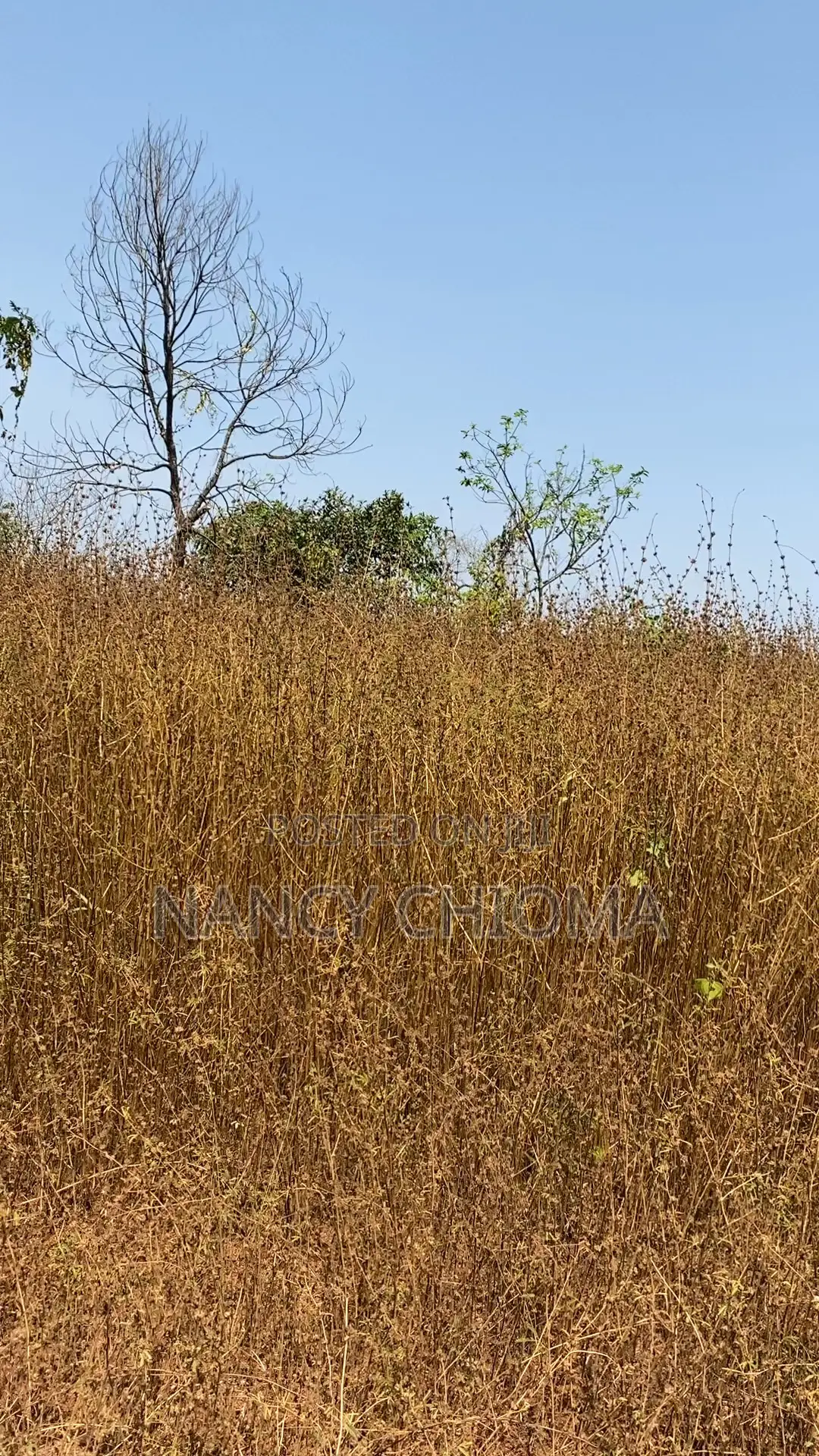Land for Sale at Independent Layout in Enugu