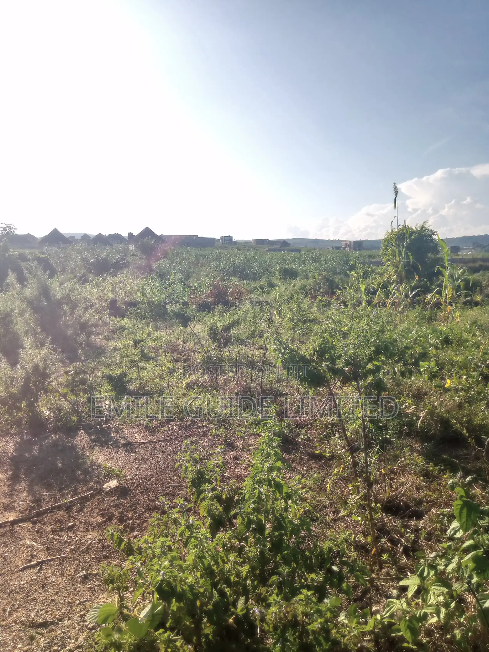 500 SQM and Above Residential Land a Beautiful Environment in Katampe Extension