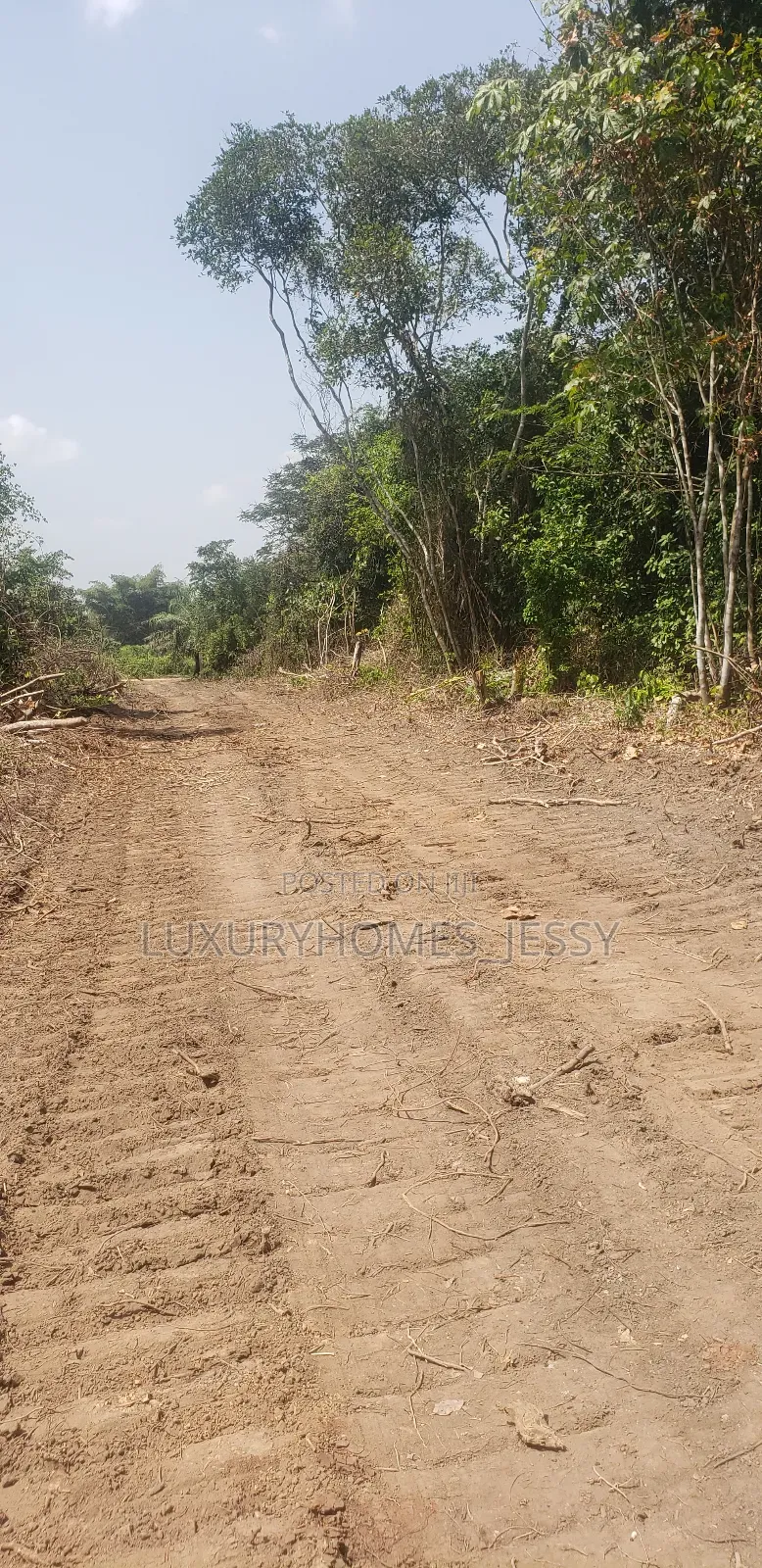 Affordable and Genuine Land for Sale at Epe in Epe