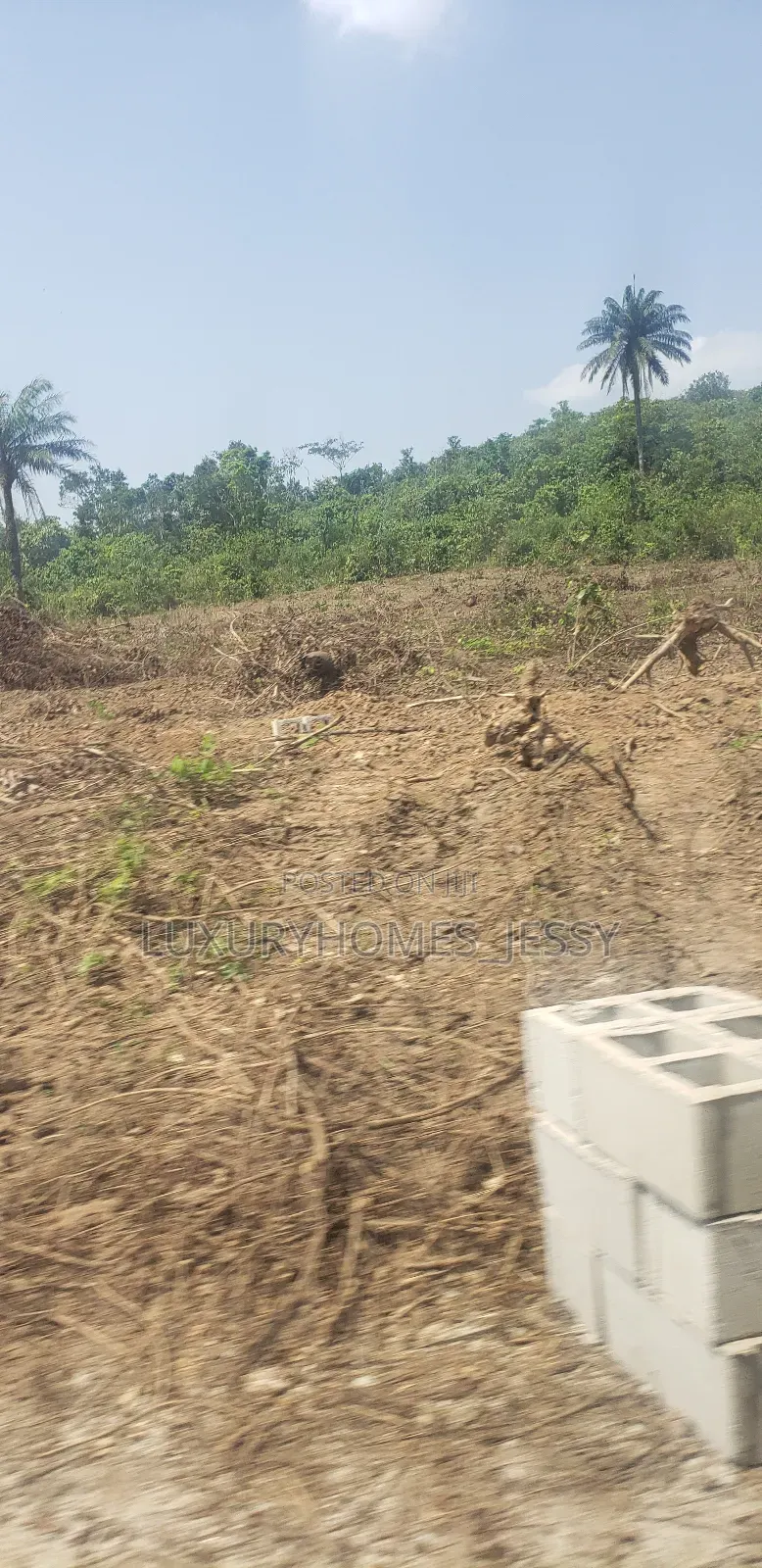 Affordable and Genuine Land for Sale at Epe in Epe