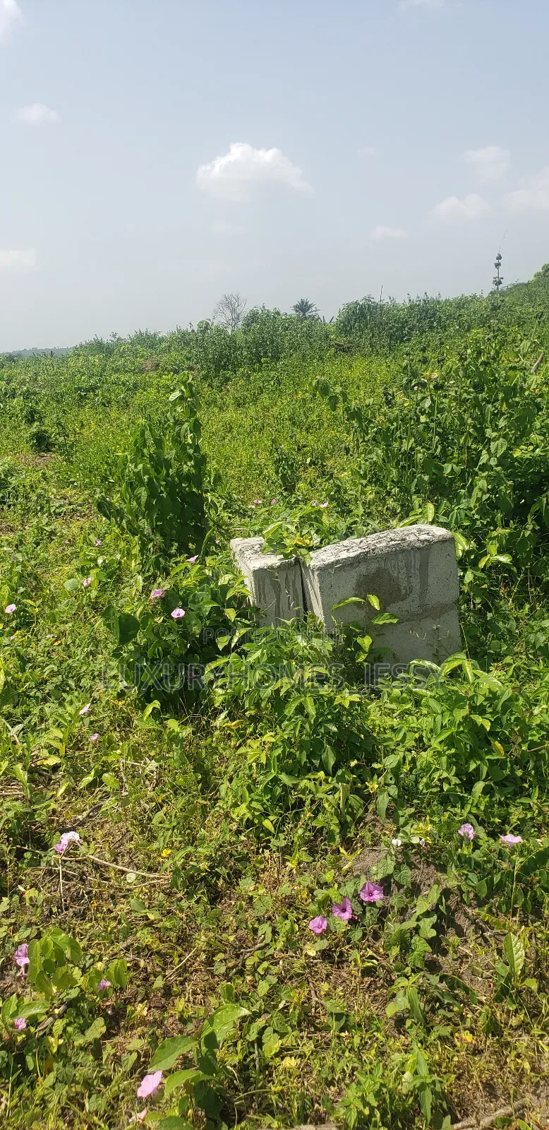 Affordable and Genuine Land for Sale at Epe in Epe
