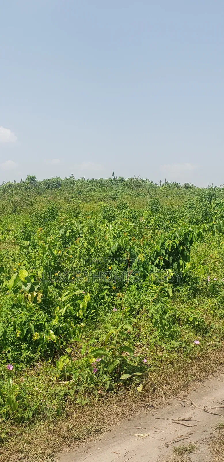 Distress Land for Sale at Ibeju Lekki in Ibeju