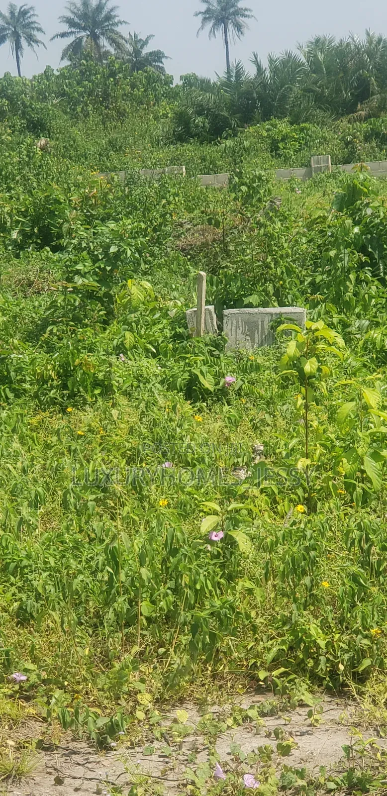 Distress Land for Sale at Ibeju Lekki in Ibeju