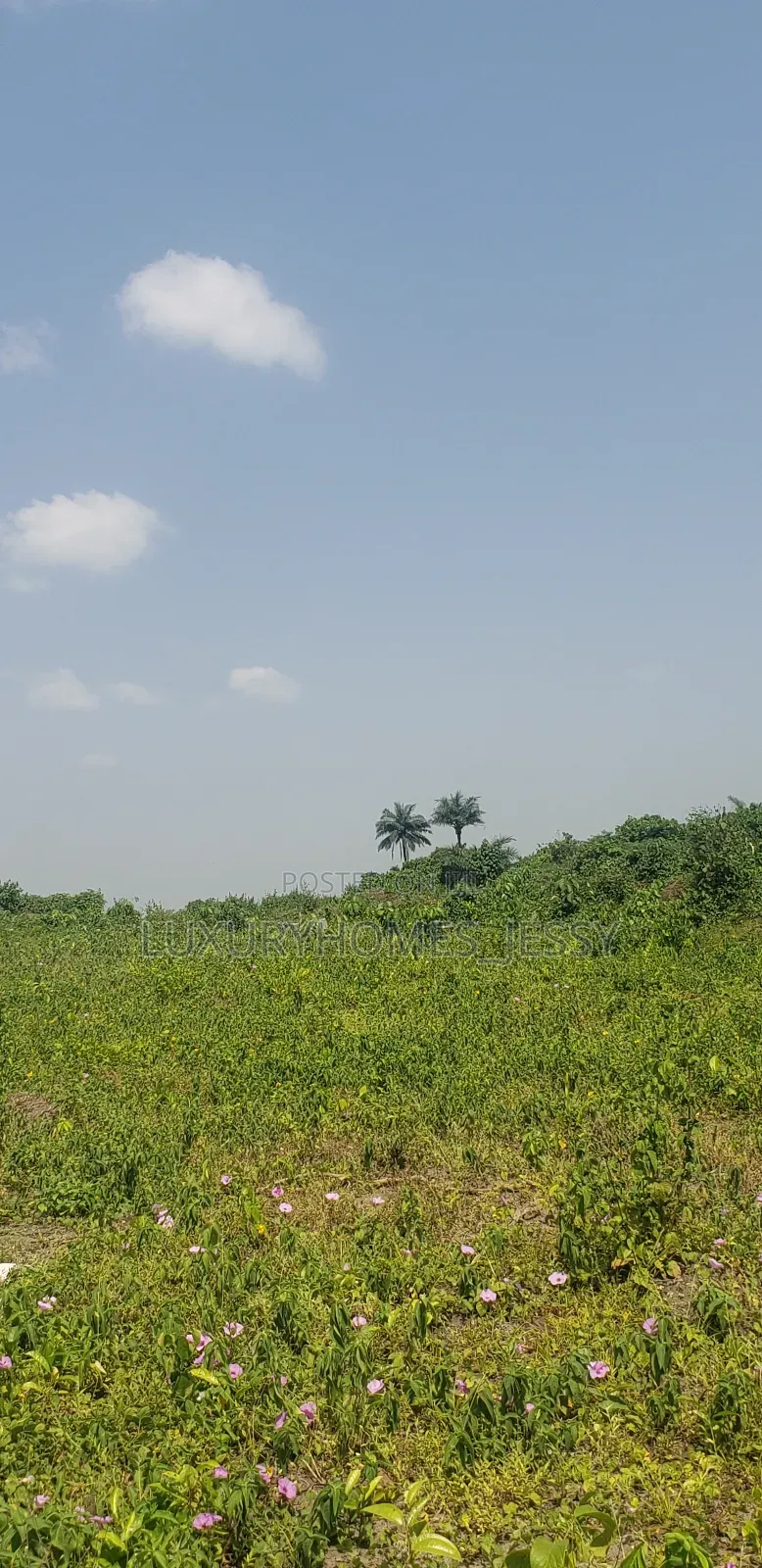 Distress Land for Sale at Ibeju Lekki in Ibeju