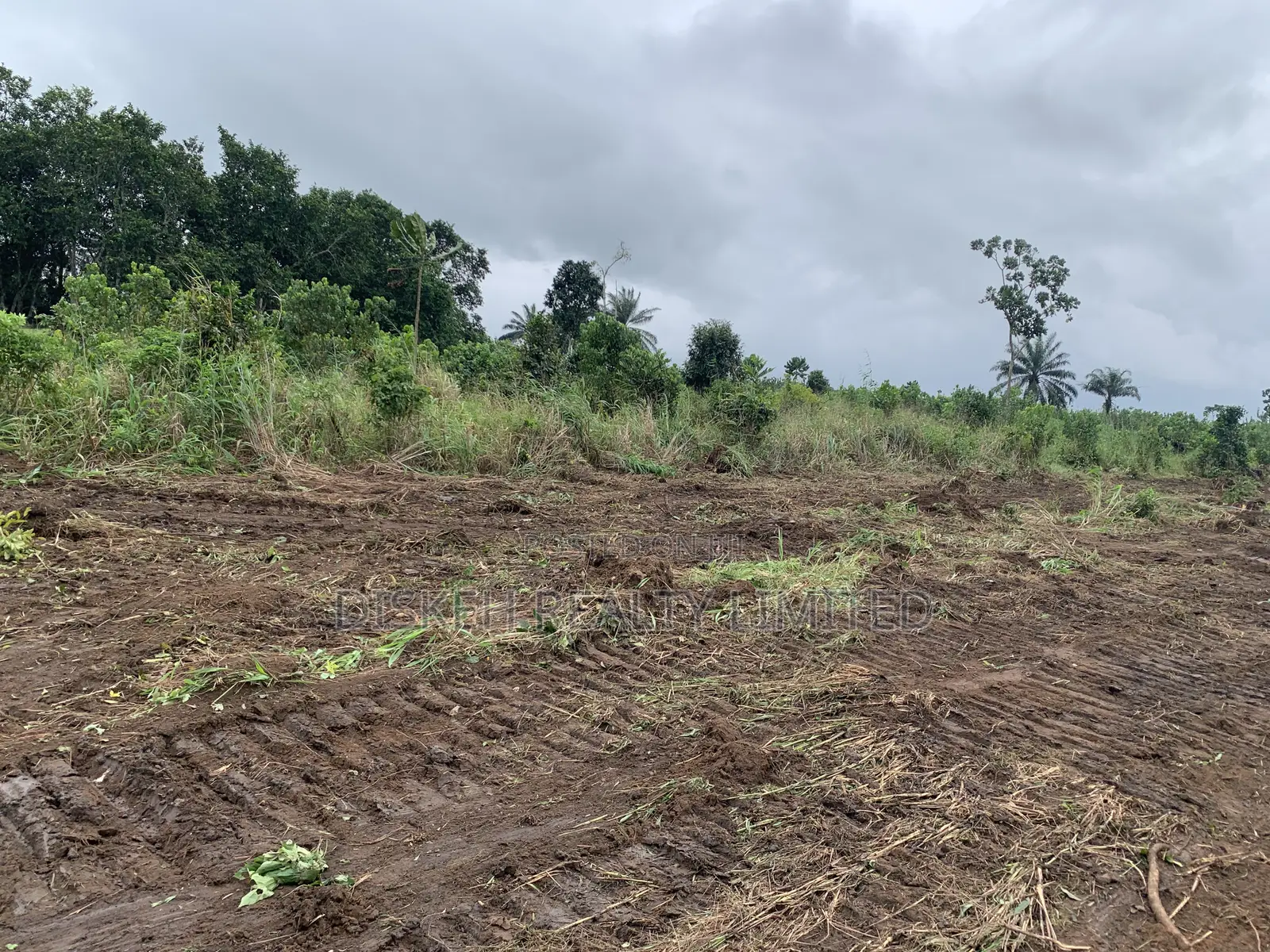 Land in Ngor Okpala , Imo State in Ngor-Okpala