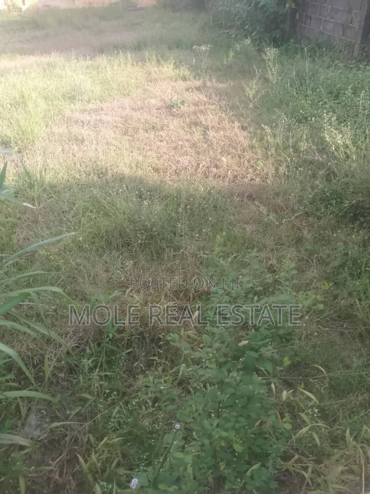 Half Plot of Land at Oluwaga Ipaja in Ipaja