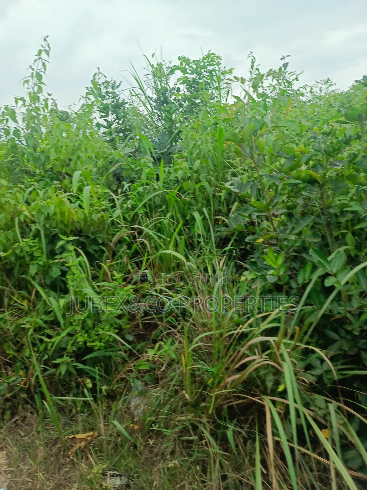 Acres of Land at Iweke Ilaro Road in Ado-Odo/Ota