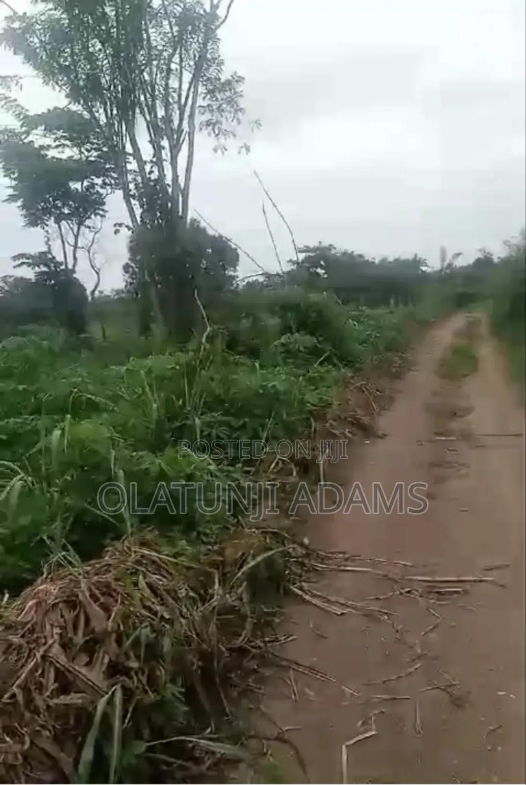 20acres of Land at Abobo Side Before Igbokiti Okinni in Osogbo