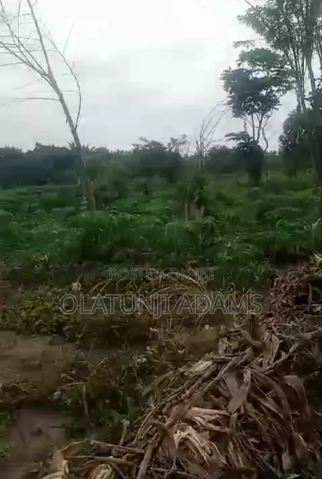 20acres of Land at Abobo Side Before Igbokiti Okinni in Osogbo