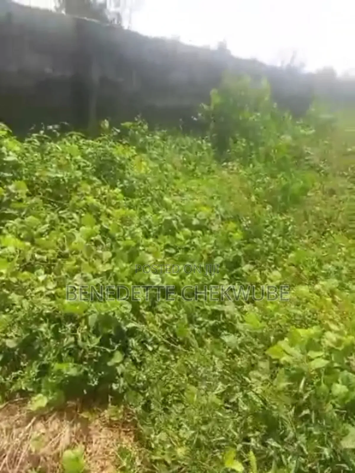 Land for Sale: Two Plots in Port-Harcourt