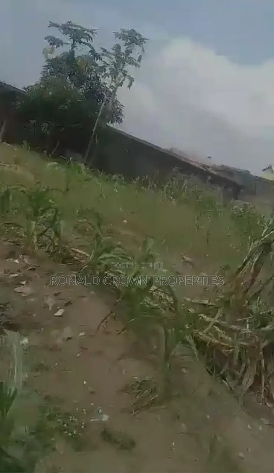 Commercial 2 Plot of Land in Okota