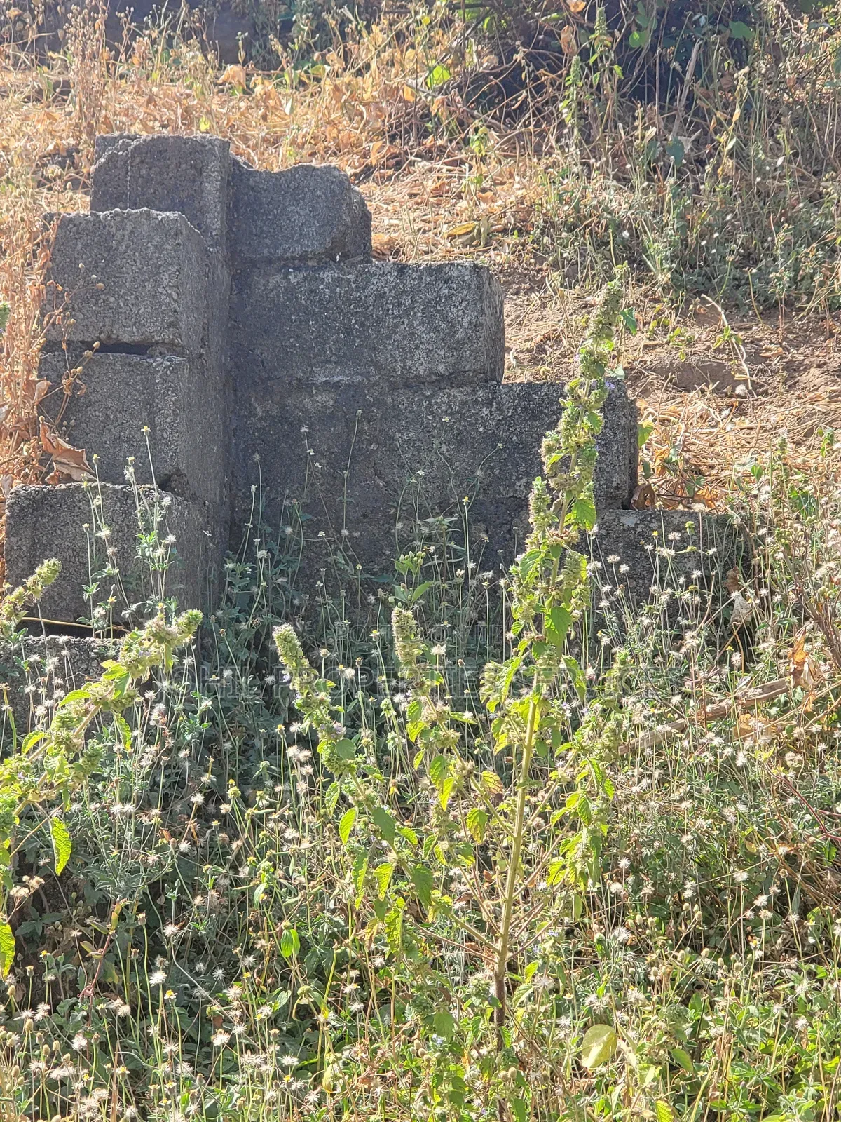 1100sqm Land for Sale at Kugbo Buildable and Livable in Karu