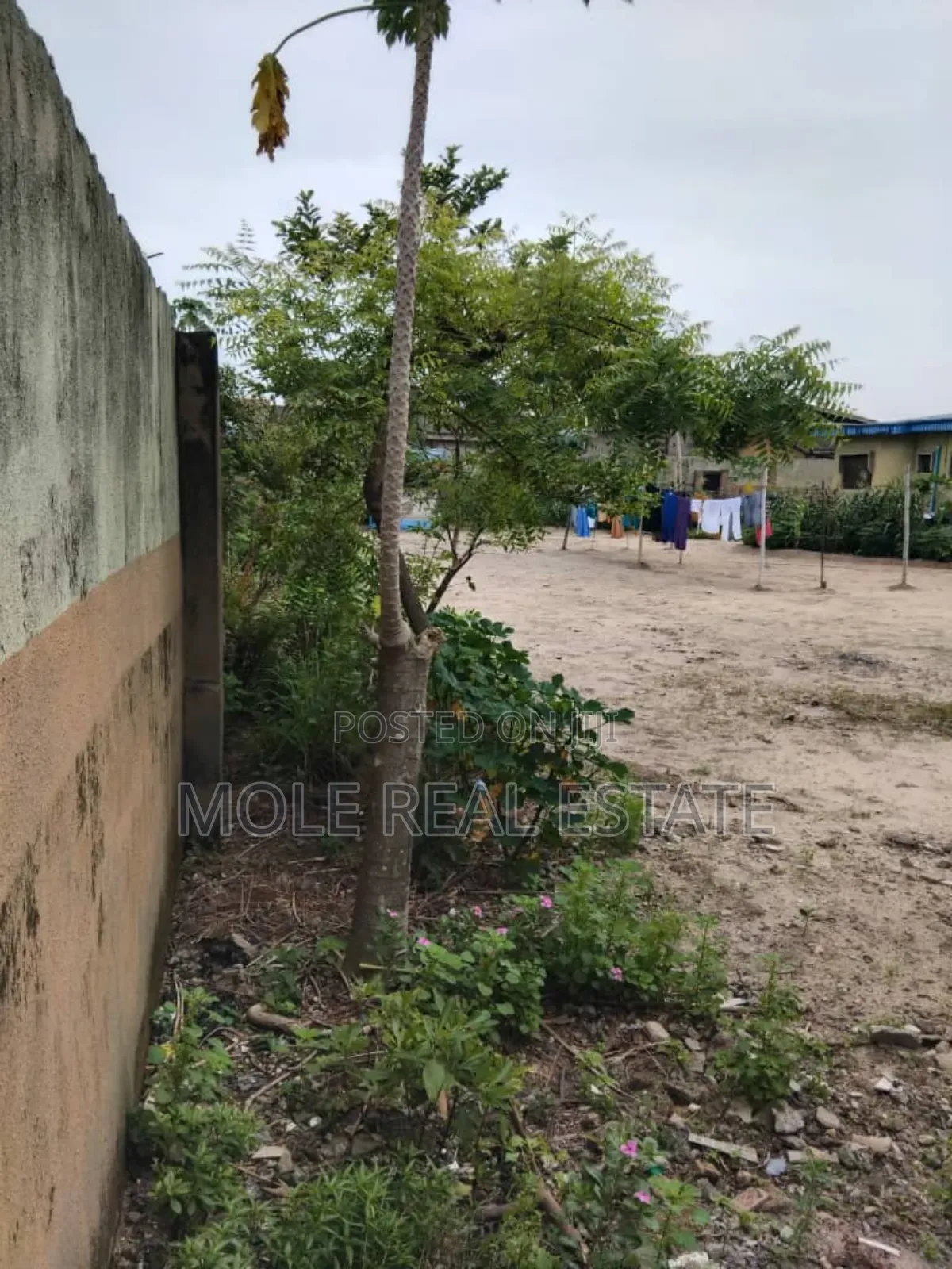 Full Plot 60ft by 120ft Governor's Road Ikotun in Ikotun/Igando