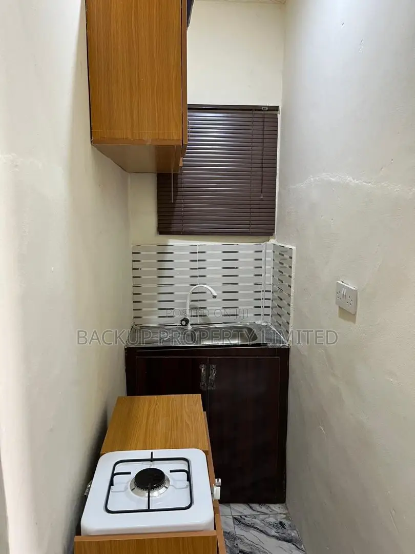 Executive and Furnished Studio Apartment in Unity Road