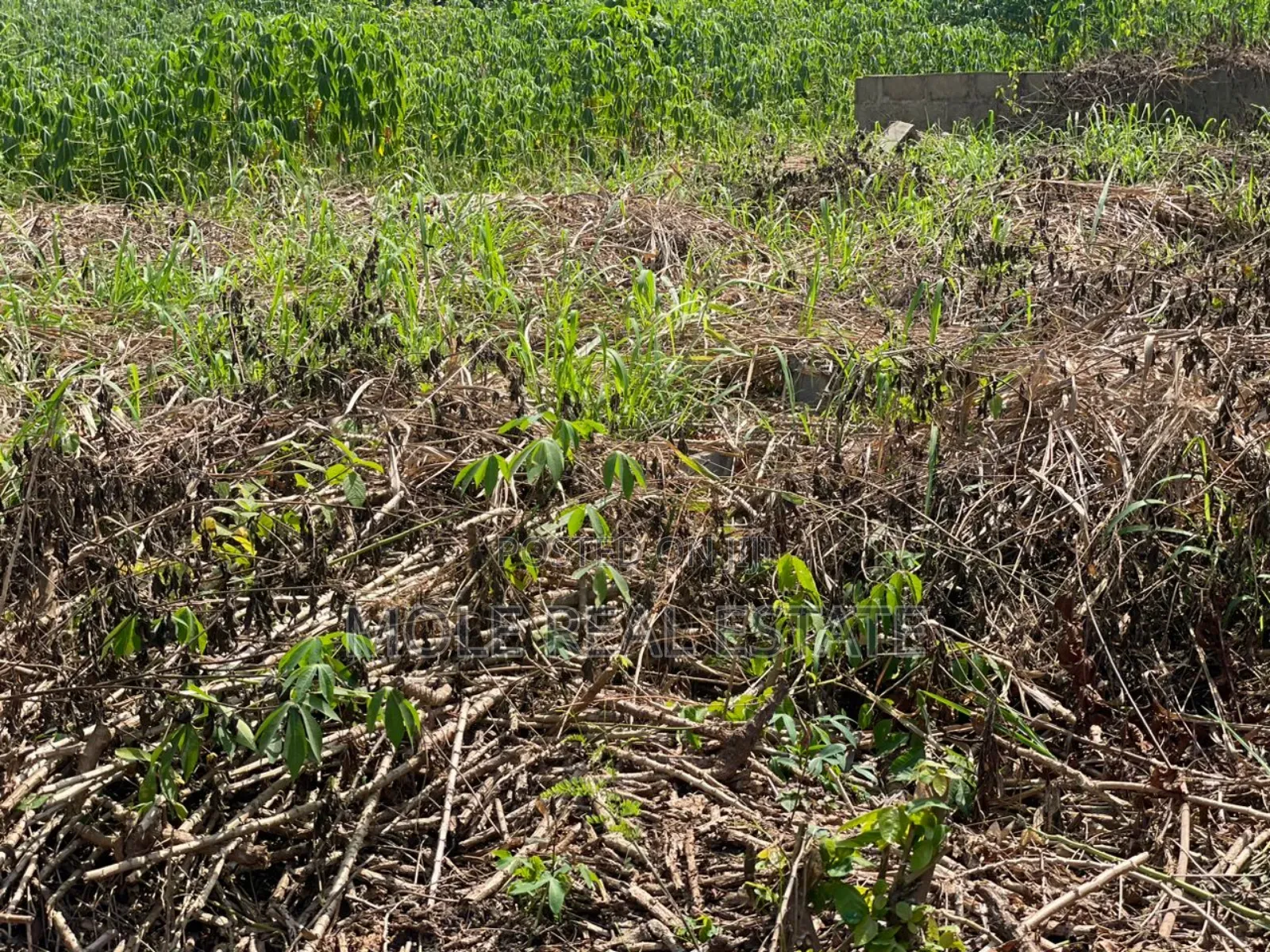 60ft by 120ft Mowe Ofada Ayetoro Rd Along in Ayetoro