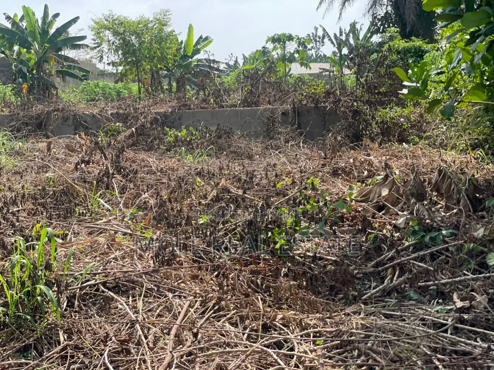 60ft by 120ft Mowe Ofada Ayetoro Rd Along in Ayetoro