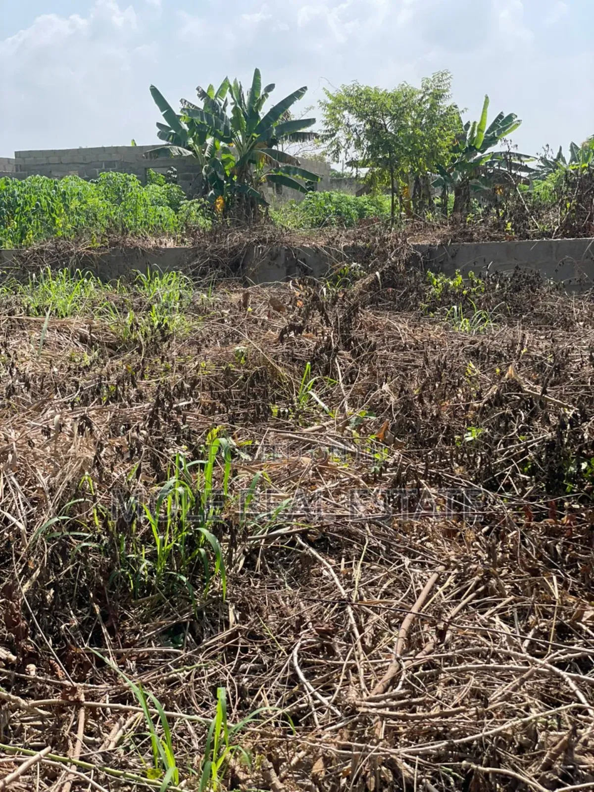 60ft by 120ft Mowe Ofada Ayetoro Rd Along in Ayetoro