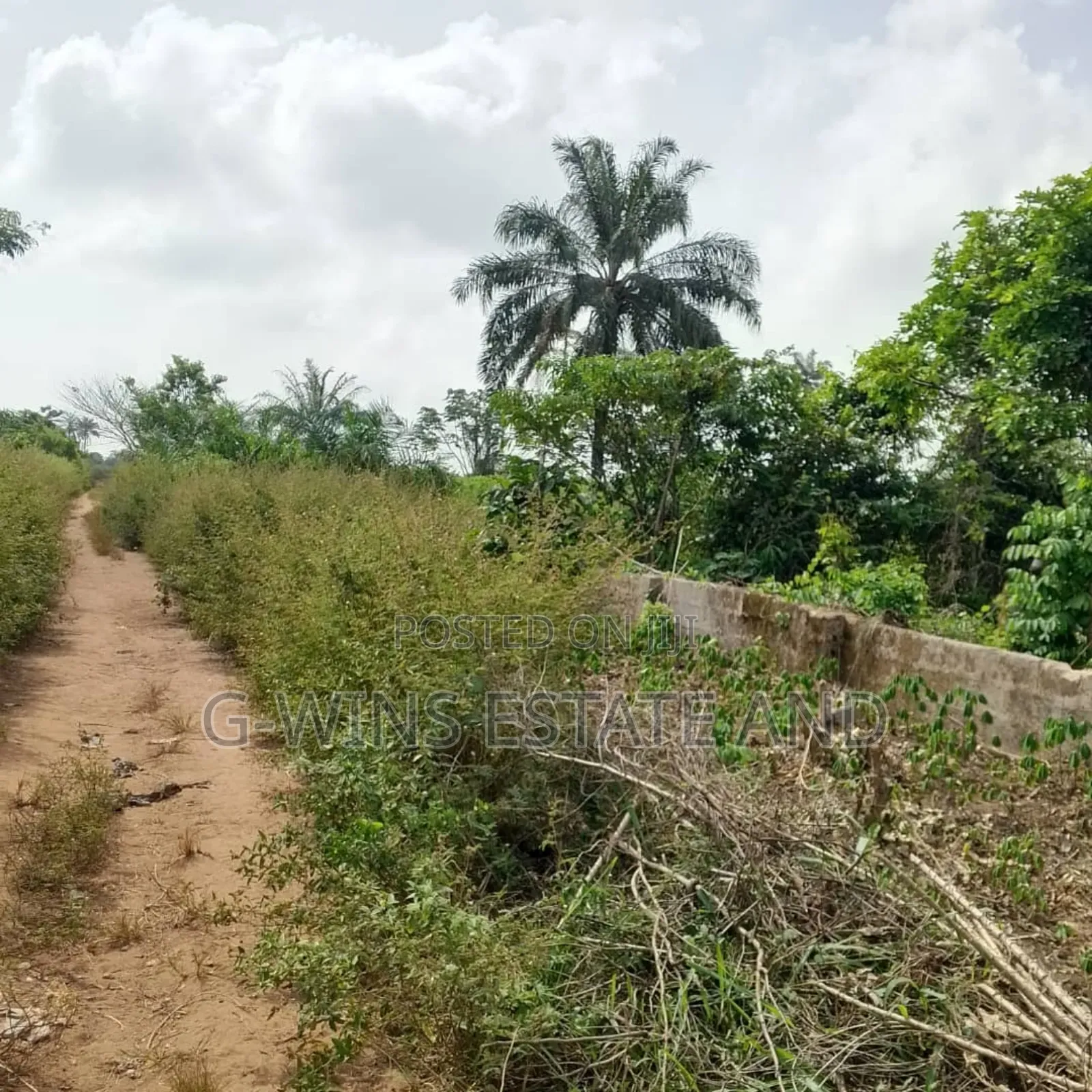 50 Plots at Airport Road Extension in Benin City