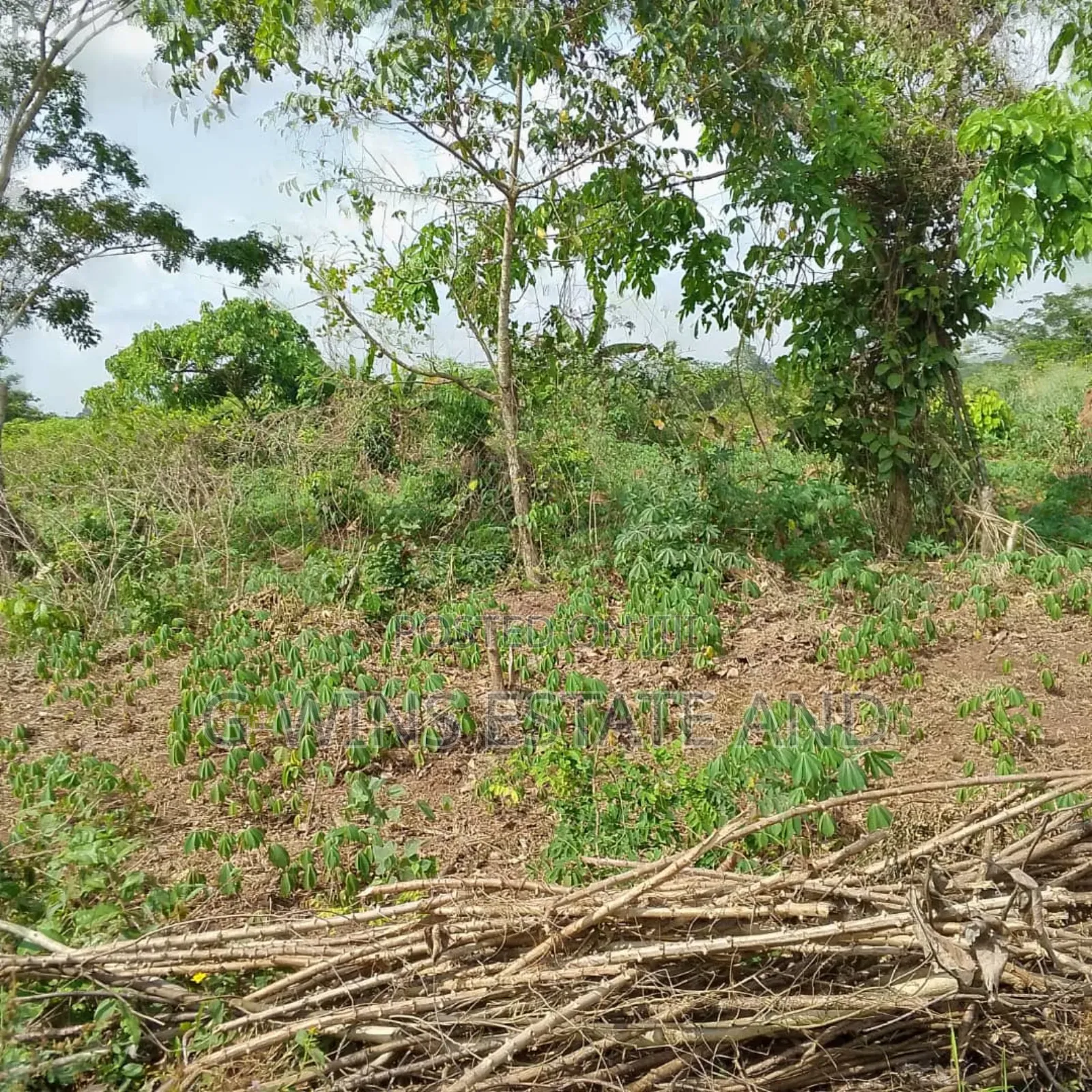 50 Plots at Airport Road Extension in Benin City